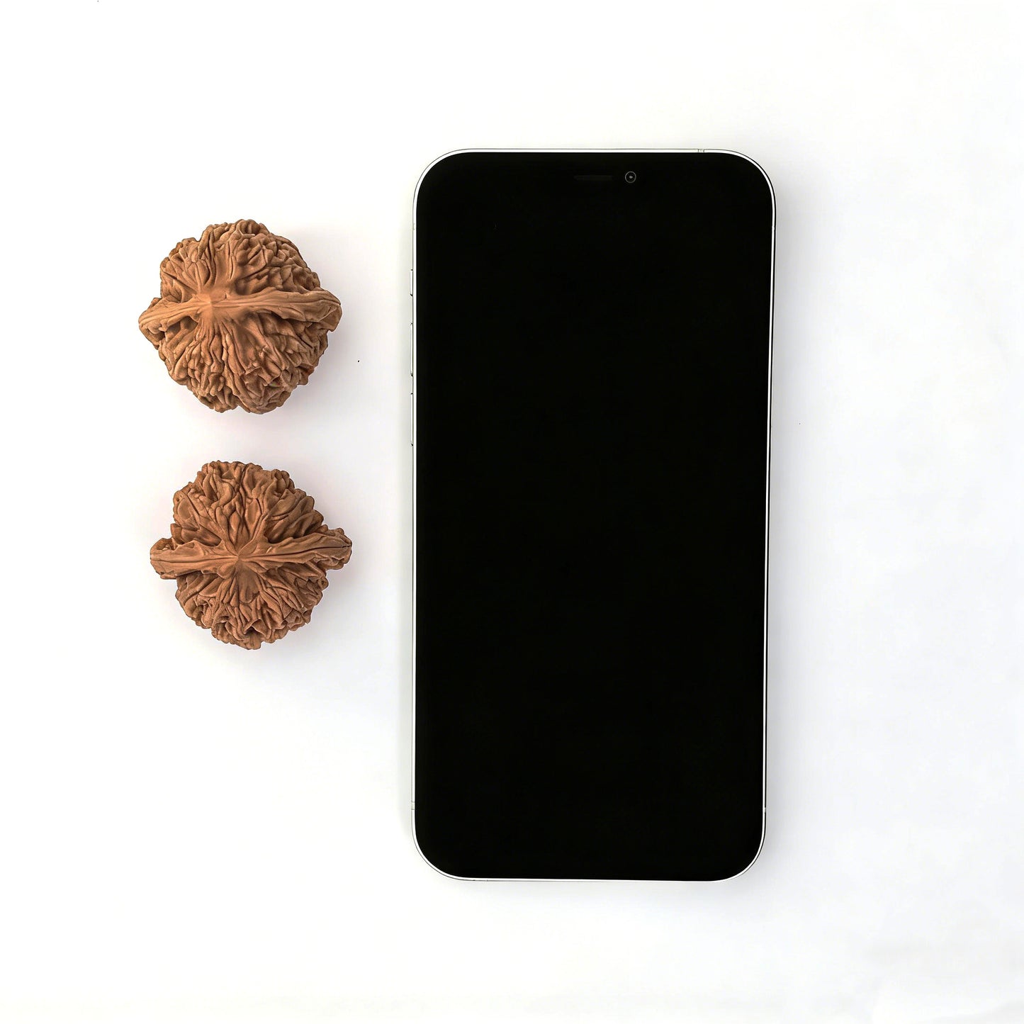 The "Dwarf Weight" (Chengtuo) Pair | 39.0mm x 37.0mm | CT-02