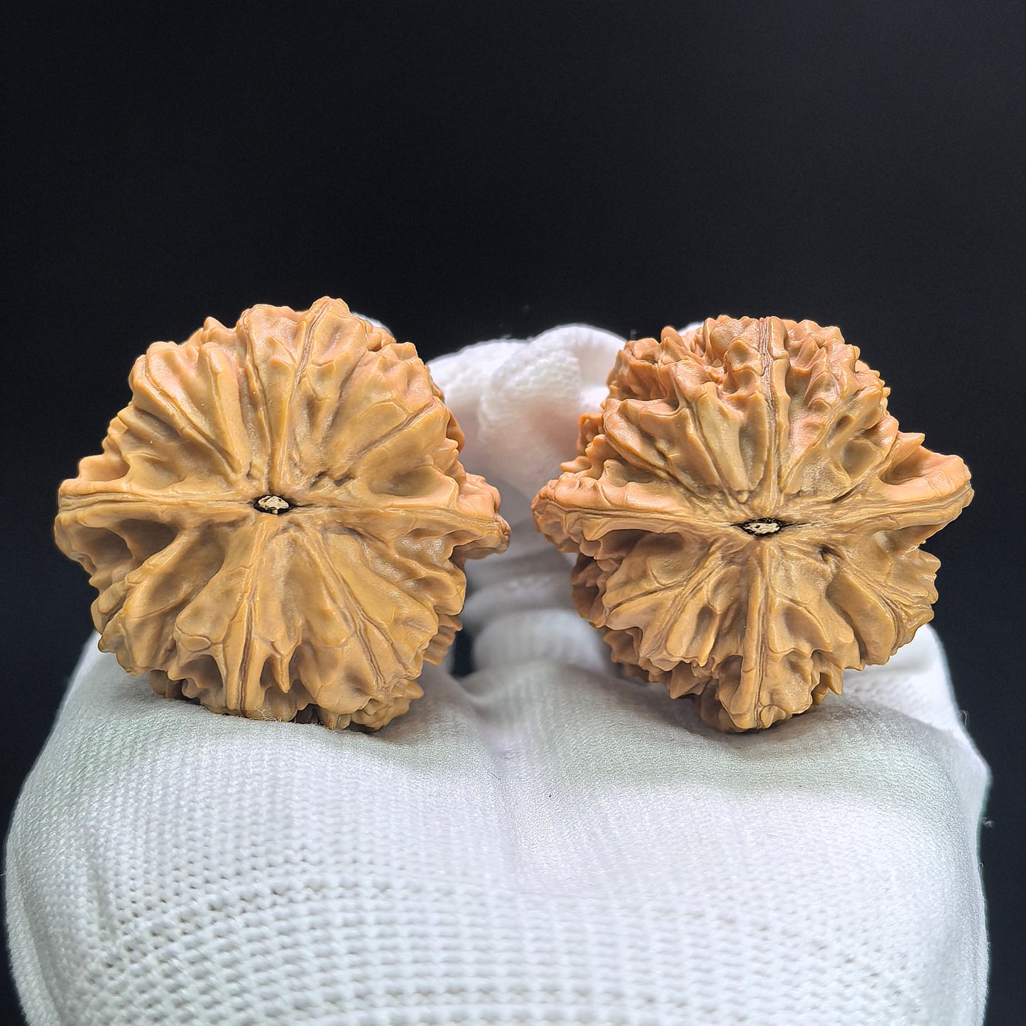 "Beijing Chicken Heart" Beijing Jixin BJJX-1403 Classic Wenwan Walnuts Pair | 41.0mm x 39.0mm | BJJX-1403