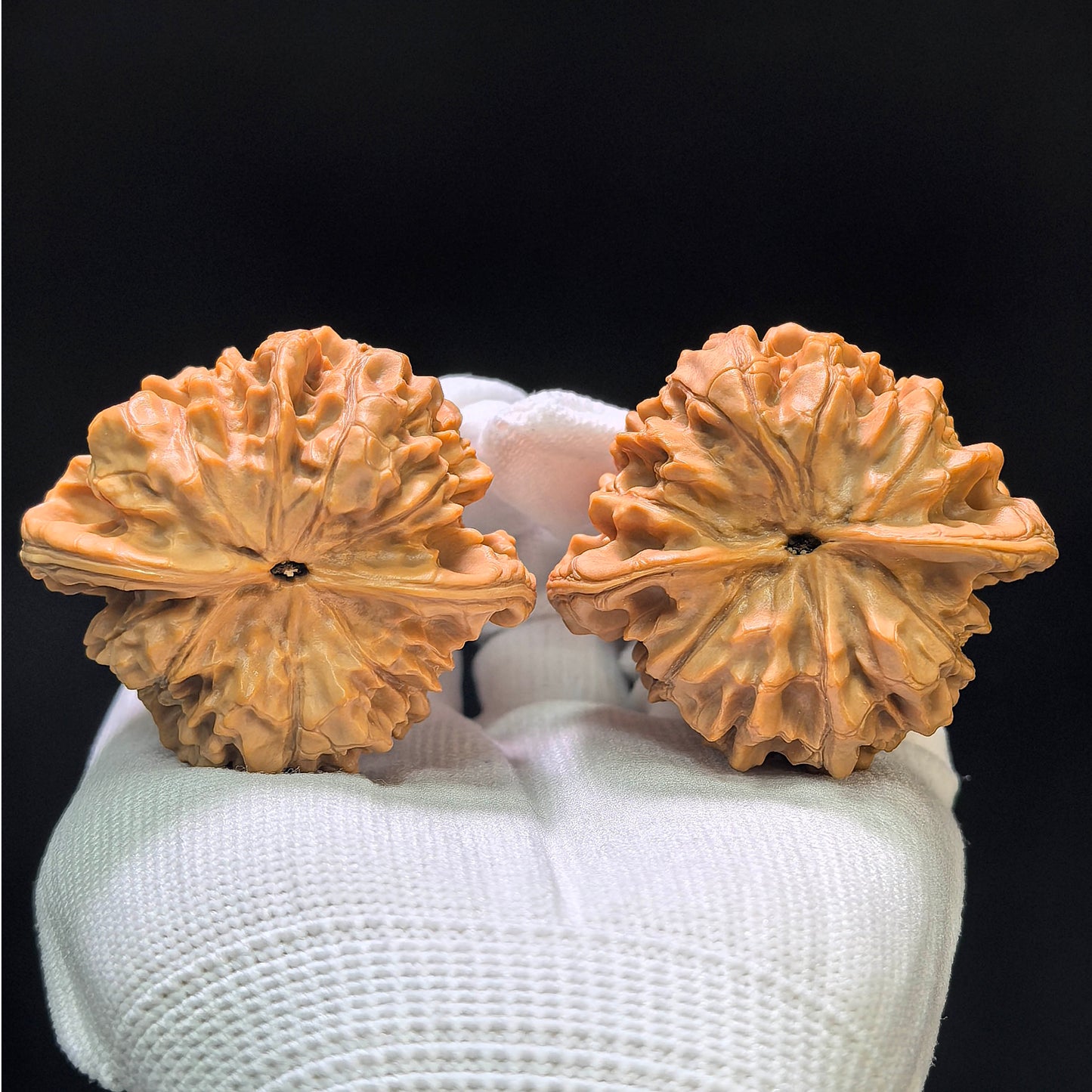 "Wang Yong Big Official Hat" Wangyong Da Guan Mao Wenwan Walnuts (Pair) | 50.0mm x 46.0mm | Stock ID: DGM-1105