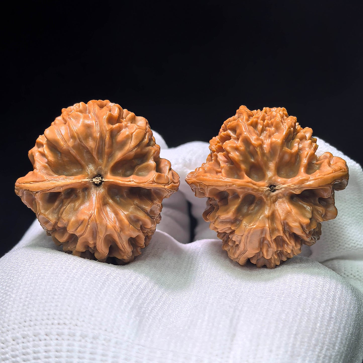Ye Niu (Wild Bison) Scholar Walnuts Pair | 38.0mm x 39.0mm | Stock ID: YN-1405
