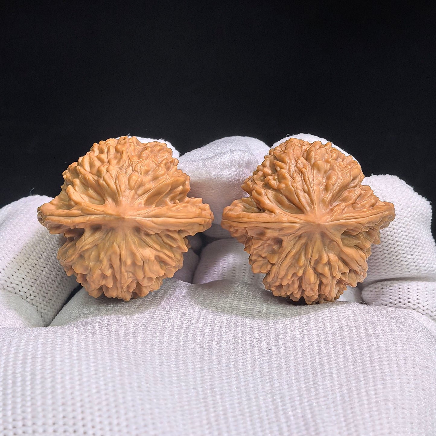 "Beijing Xiayun Ridge" Beijing Xiayunling XYL-SY1A2 Classic Wenwan Walnuts Pair | 32.0mm x 32.0mm | XYL-SY1A2