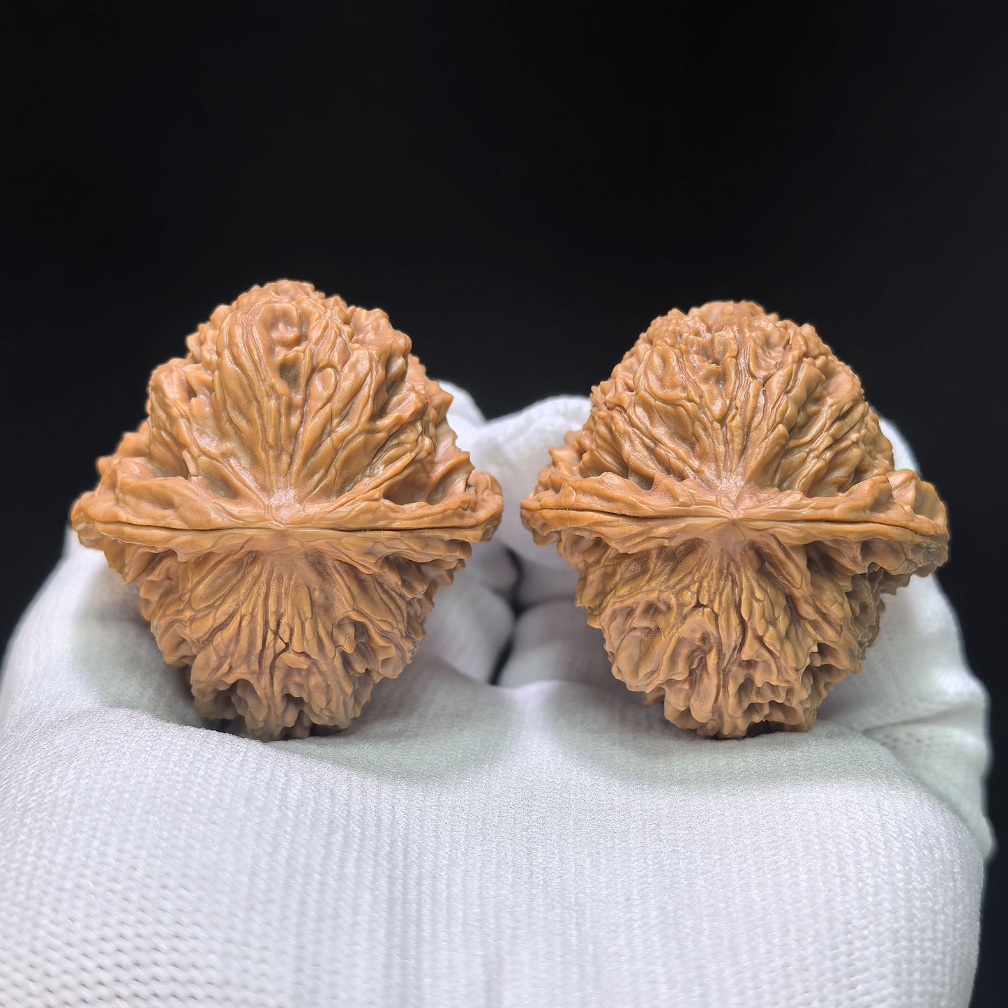 "Nanjiang Stone Red Shell" Nanjiangshi Hongke Wenwan Walnuts Pair | 41.0mm x 43.0mm | NJS-1511C