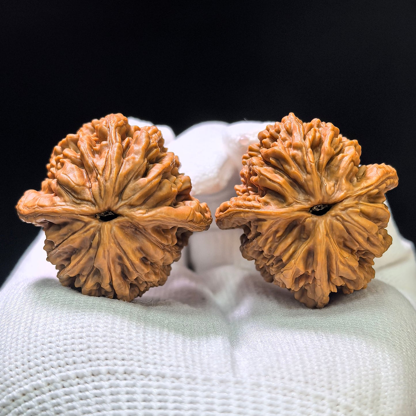 "Wild Cultivar" Yesheng Wenwan Walnuts (Pair) | 34.0mm x 36.0mm | Stock ID: YS-1101