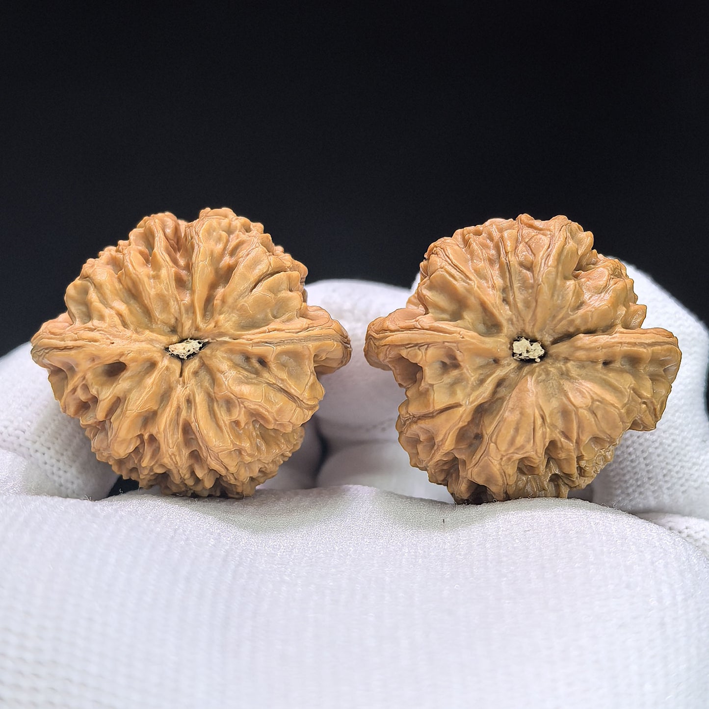 "Rain Flower Stone" Yuhuashi Hand-Twist Shou Nian Wenwan Walnuts (Pair) | 34.0mm x 32.0mm | Stock ID: YHS-1101