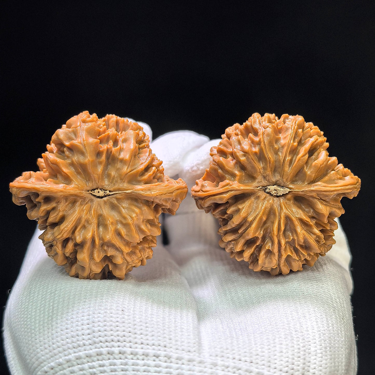 "Starry Sky" Mantianxing Wenwan Walnuts Pair | 42.0mm x 40.0mm | MTX-1106
