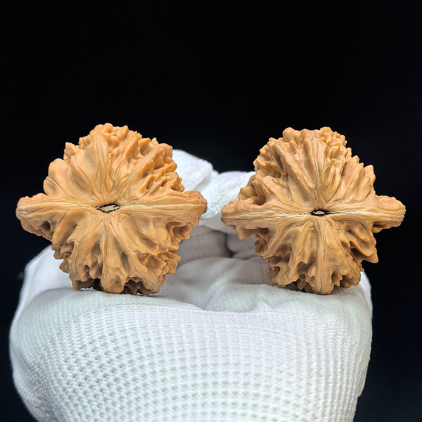 "Peach Heart Xiayun Ridge" Taoxin Xiayunling XYL-1505C Low-Profile Wenwan Walnuts Pair | 43.0mm x 41.0mm | XYL-1505C