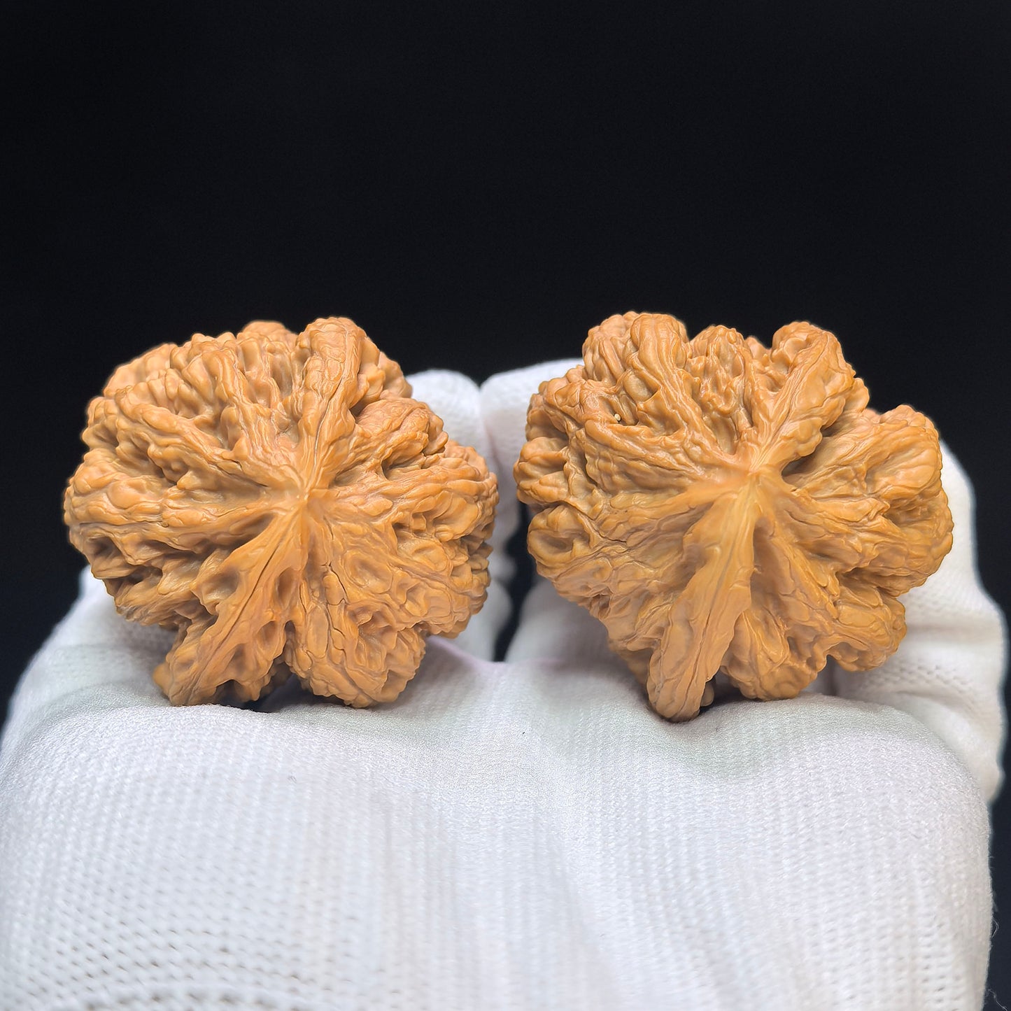 "Large Thick Ridge Vulture" Dacujin Zuoshandiao Wenwan Walnuts Pair | 43.0mm x 43.0mm | CJZSD-C232E
