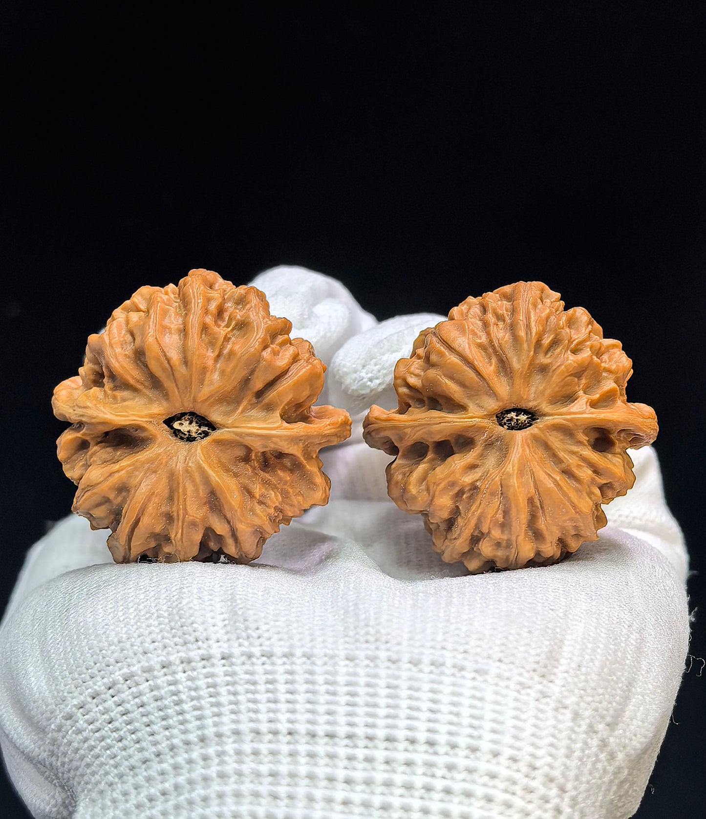 "Jiulong Valley" Jiulongyu Wenwan Walnuts (Pair) | 38.0mm x 38.0mm | Stock ID: JLY-1501C