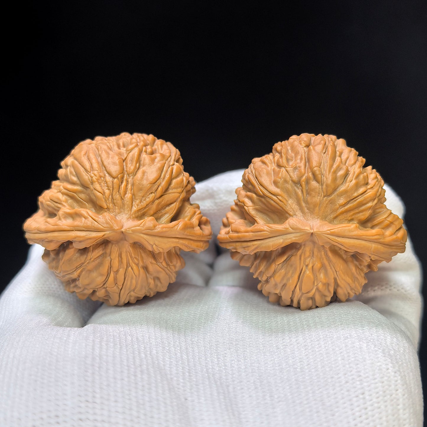 "White Lion Turtle-Back" Baishizi Wuguibei Wenwan Walnuts Pair | 42.0mm x 40.0mm | BSJWGB-C235E