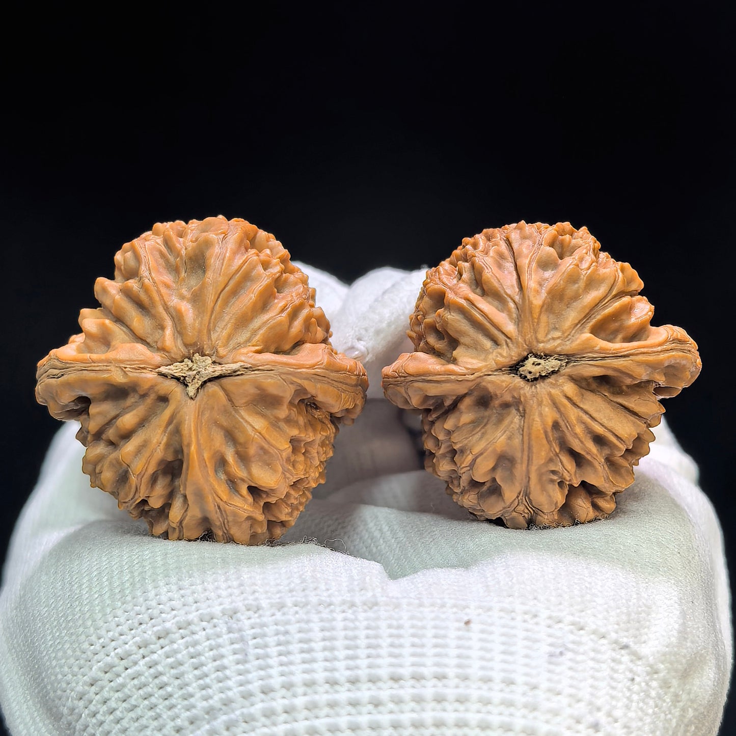 "Water Dragon Grain" Shuilongwen SLW-1601 Classic Wenwan Walnuts Pair | 37.0mm x 38.0mm | SLW-1601
