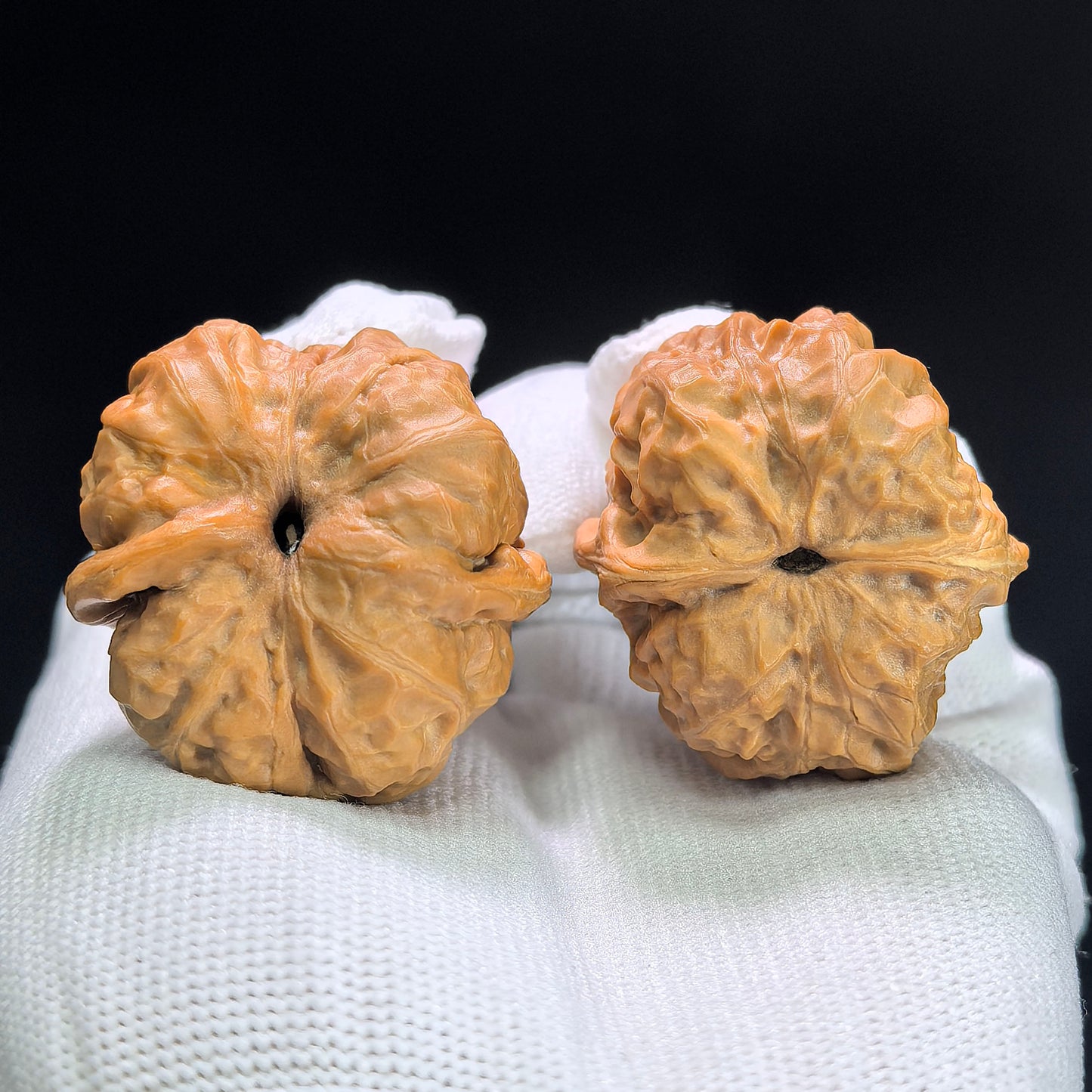 "Toad Head" Hama Tou W-1404 Low-Profile Wenwan Walnuts Pair | 36.0mm x 38.0mm | W-1404