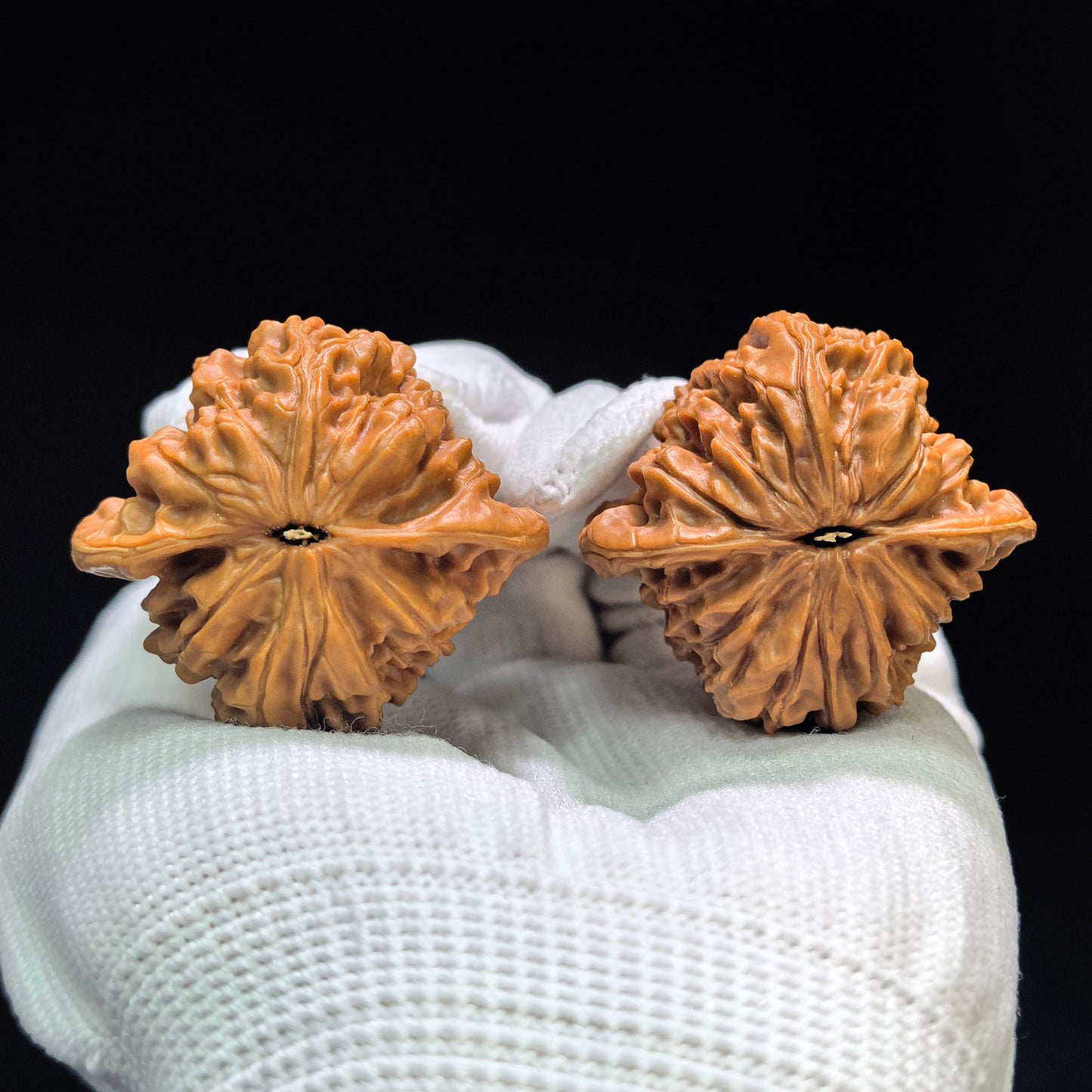 "Misty Soul Mountain" Wuling Shan WLS-1602 Low-Profile Wenwan Walnuts Pair | 39.0mm x 36.0mm | WLS-1602