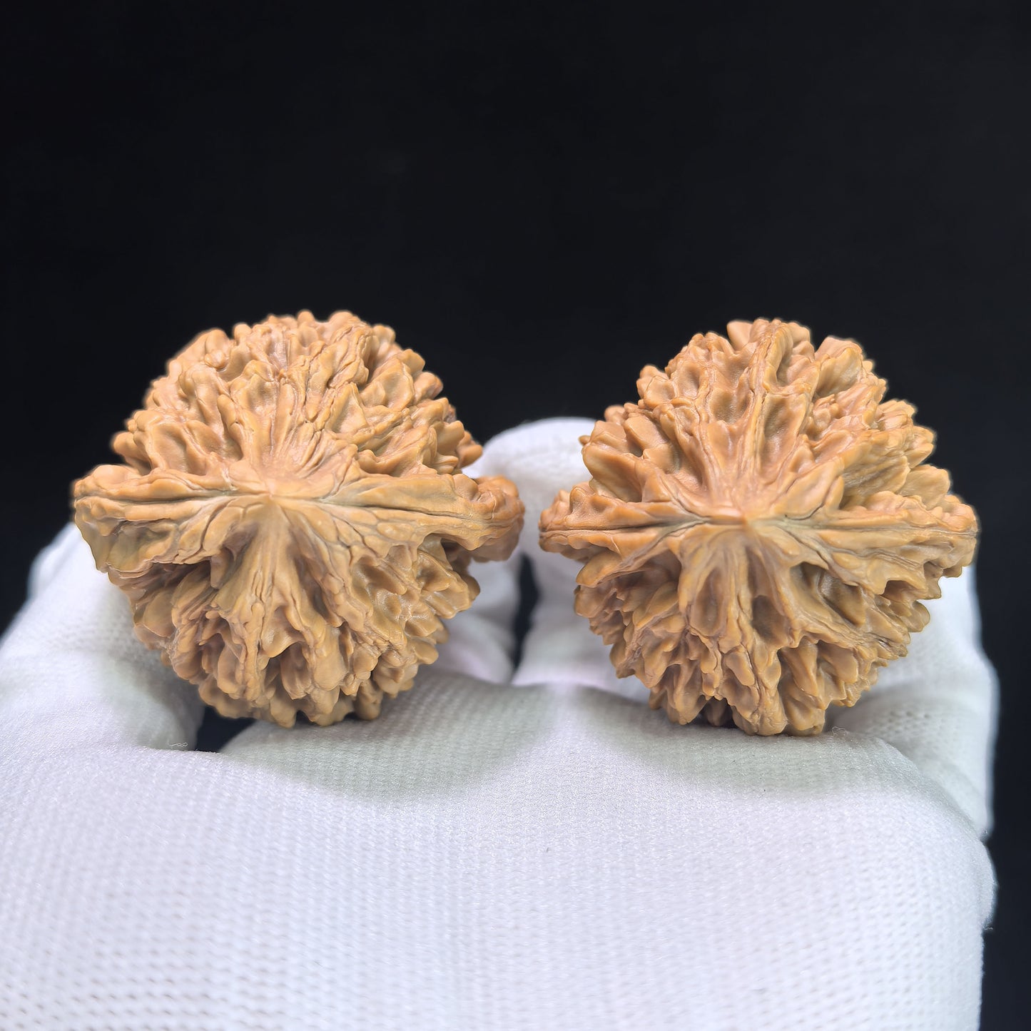 "Wealth Mouse" Zhaocaishu Wenwan Walnuts (Pair) | 44.0mm x 41.0mm | Stock ID: ZCS-1403
