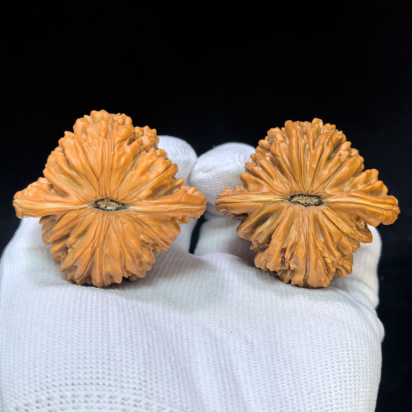 "Four-Tower Lionhead" Sizuelou Lionhead SZL-SY1C5 Low-Profile Wenwan Walnuts Pair | 47.0mm x 44.0mm | SZL-SY1C5