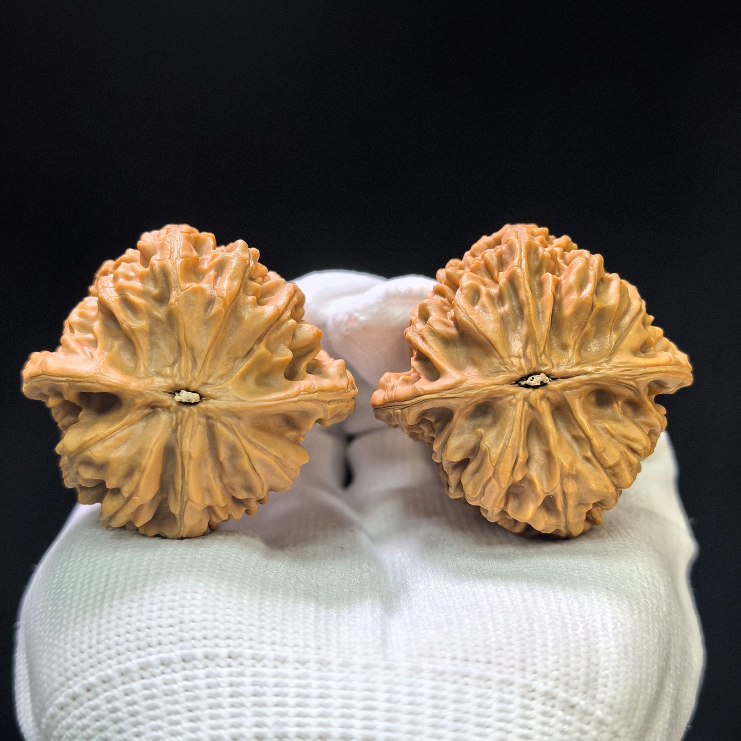 "Beijing Rooster Heart" Beijing Jixin Wenwan Walnuts (Pair) | 42.0mm x 42.0mm | Stock ID: BJJX-1105