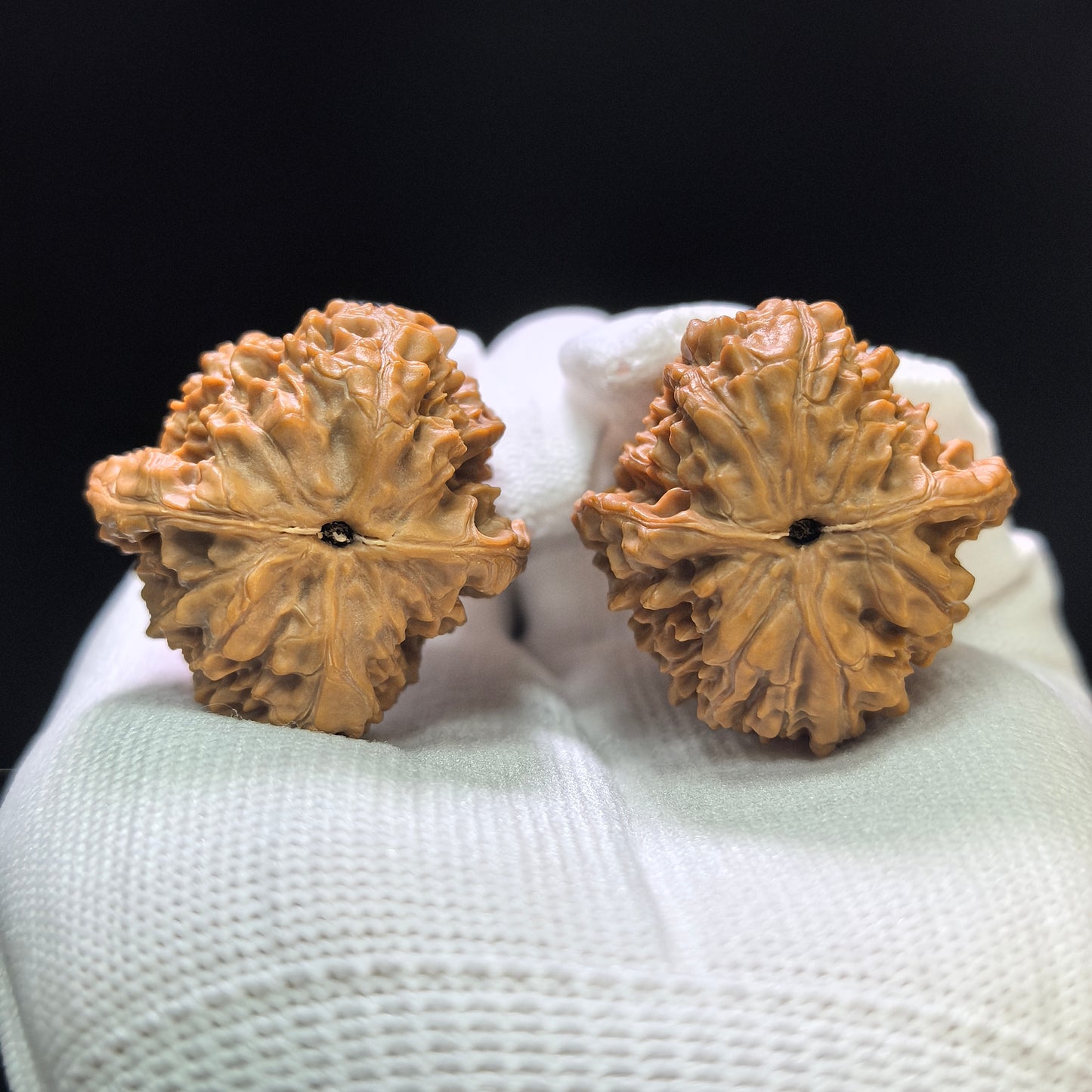 "Golden Kylin" Jinqilin Wenwan Walnuts (Pair) | 34.0mm x 35.0mm | Stock ID: JQL-1402