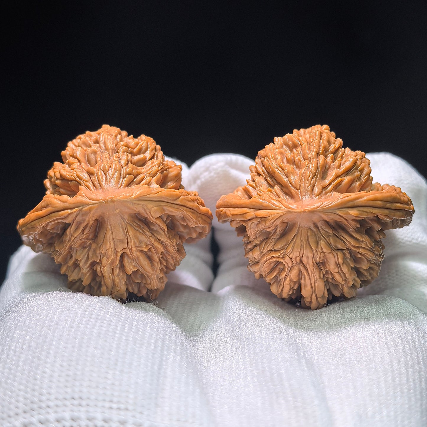 The "Wheat Ear Tiger Head" (Mai Sui Hu Tou) Classic Symmetrical Pair | 41.0mm x 39.0mm | MSHT-1401