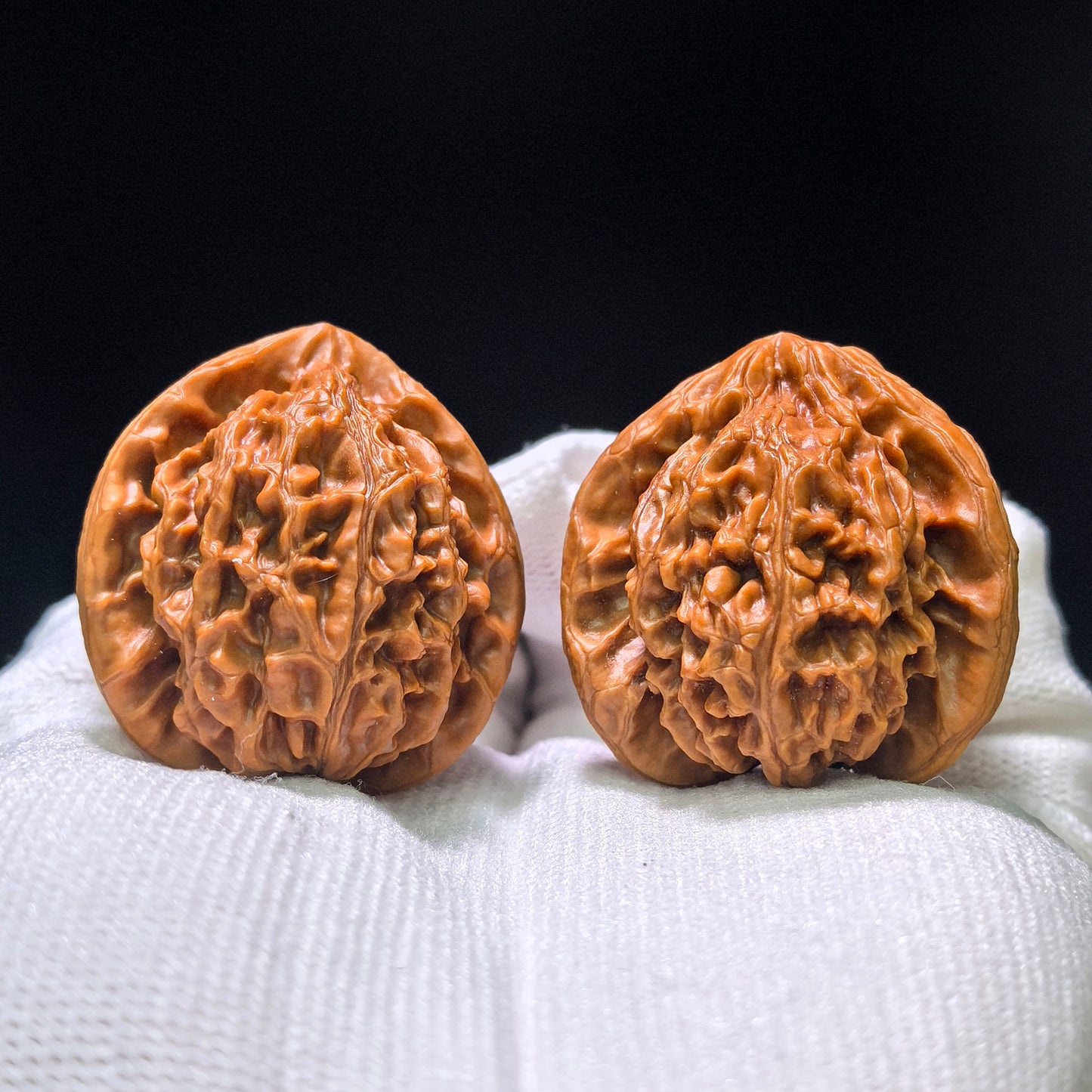 The Royal "Palace Lantern Turtle Shell" Gongdeng Wuguibei Pocket Masterpiece | 34.0mm x 37.0mm | GDWGB-401E