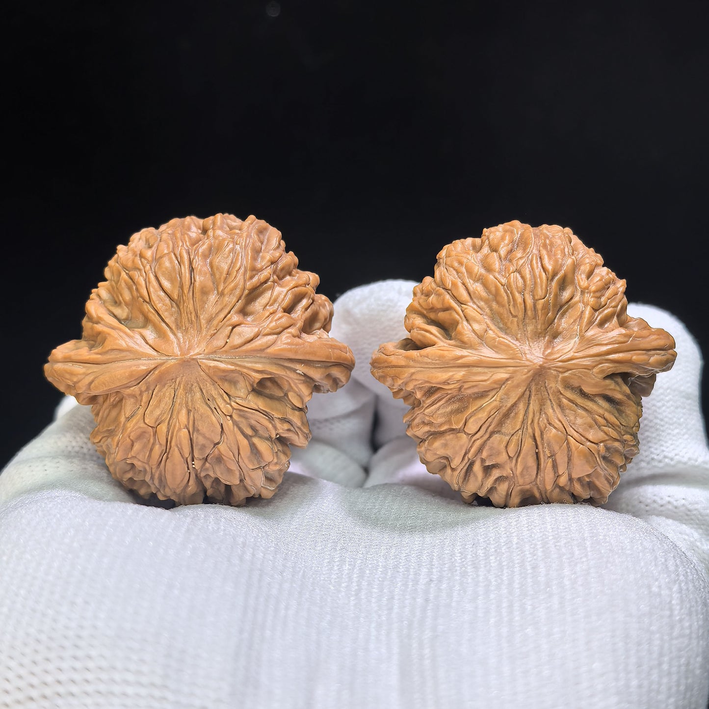 "Millstone" Mopan Wenwan Walnuts Pair | 40.0mm x 39.0mm | MP-1502C
