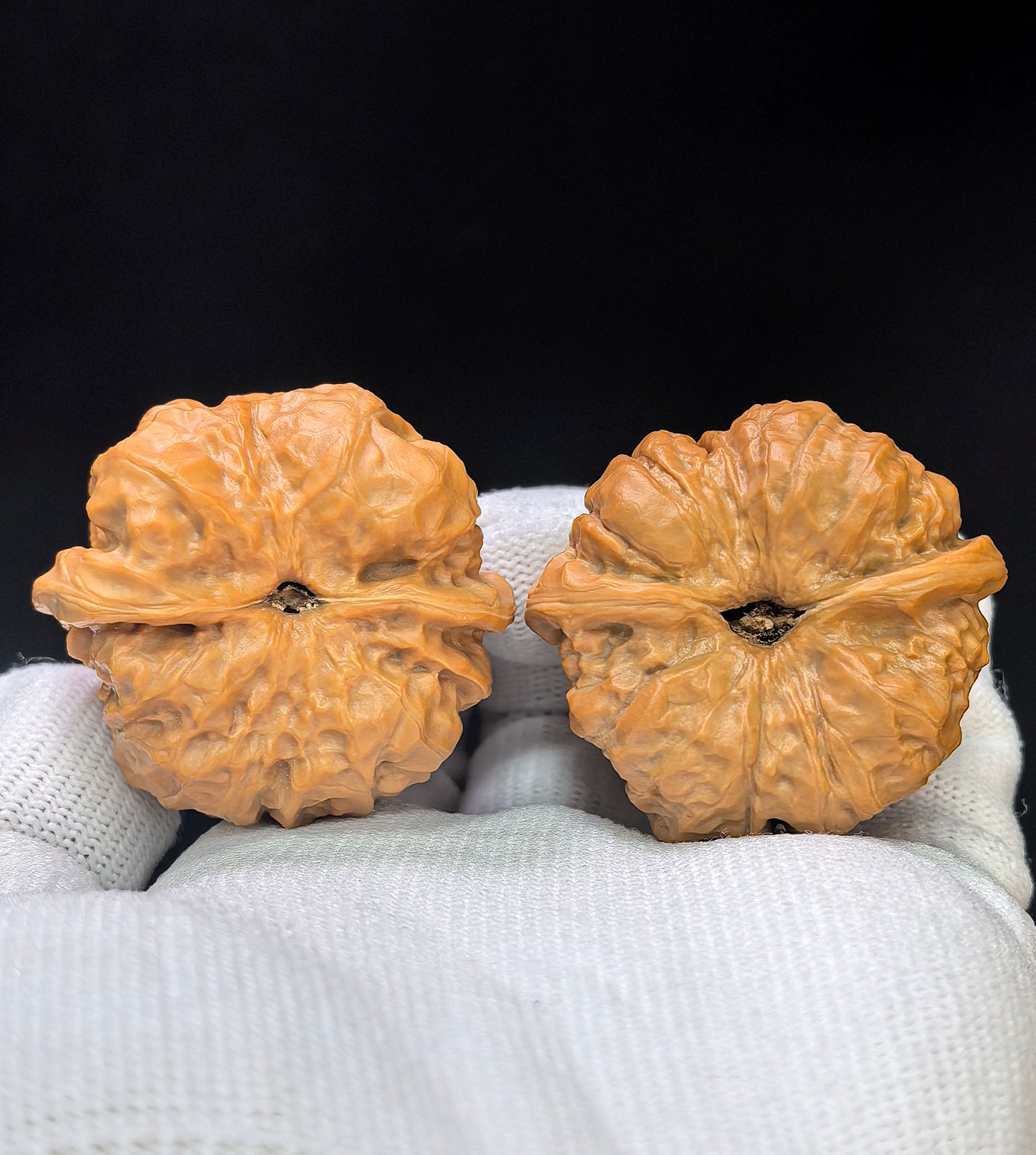 "Toad Head" Hamatou HMT-17H9 Low-Profile Wenwan Walnuts Pair | 40.0mm x 40.0mm | HMT-17H9