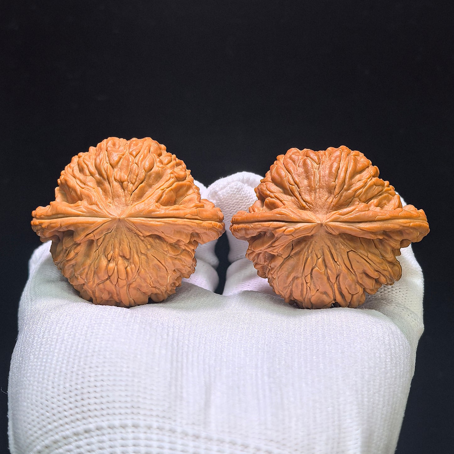 "White Lion Head" Bai Shishi Wenwan Walnuts Pair | 49.0mm x 44.0mm | BSJ-1551C