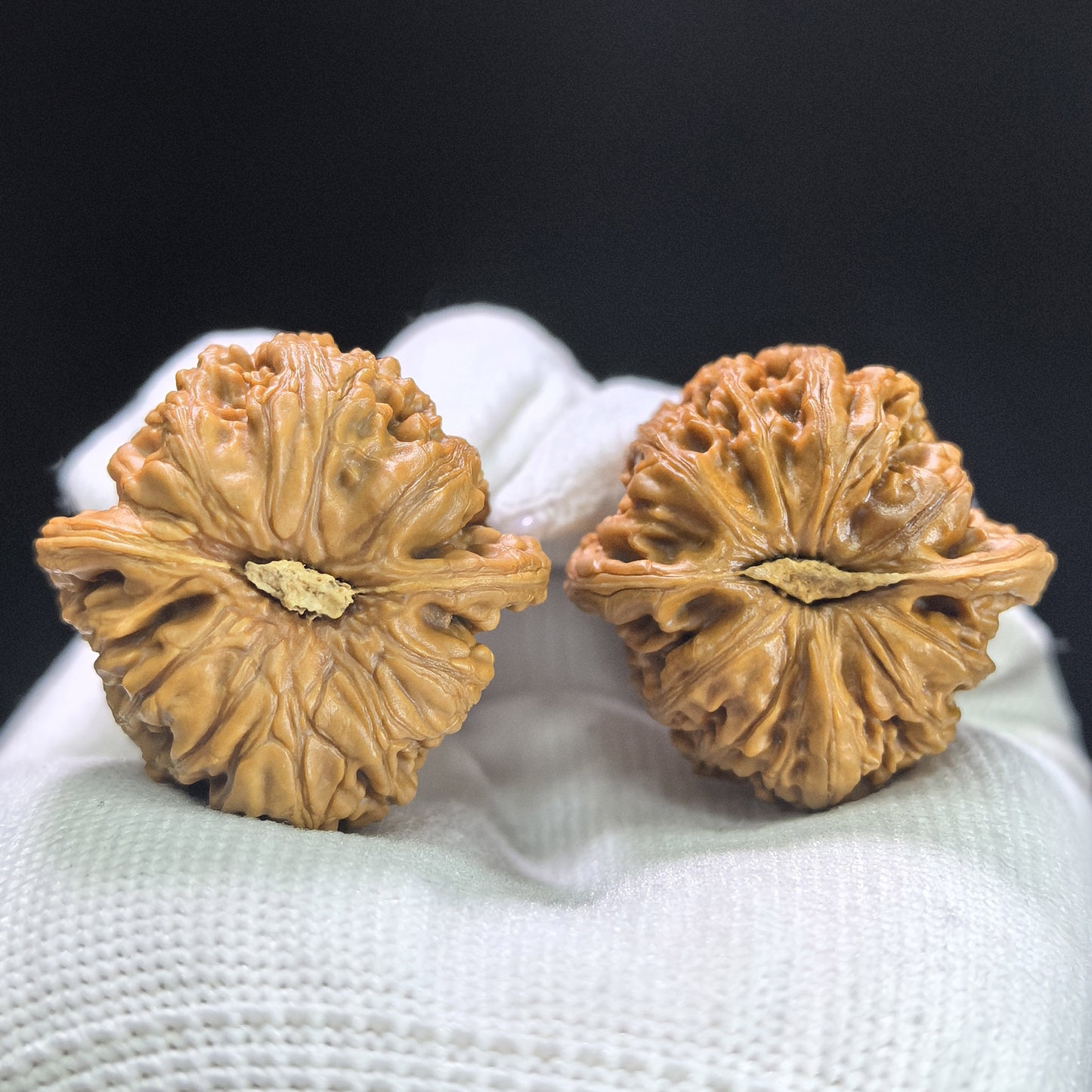 "Pocket Ruby" Xiuzhen Hongbaoshi Wenwan Walnuts Pair | 33.0mm x 33.0mm | HBS-1402