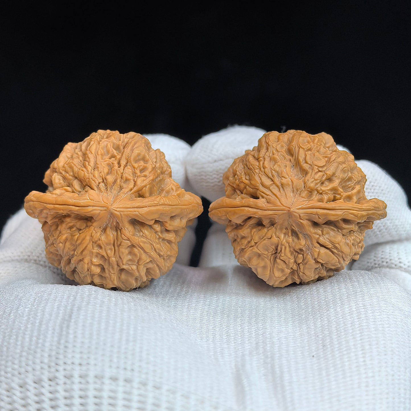 "Concave Base Rain Flower Stone" Concave Base Yuhuashi BDYHS-17A3C Low-Profile Wenwan Walnuts Pair | 35.0mm x 33.0mm | BDYHS-17A3C