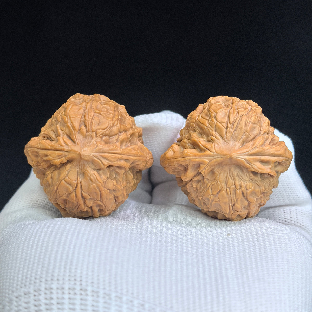 Compact Round-Bodied “Da Tuanyuan” Wenwan Walnut Pair — 39.0mm x 37.0mm | DTY-SY1H8