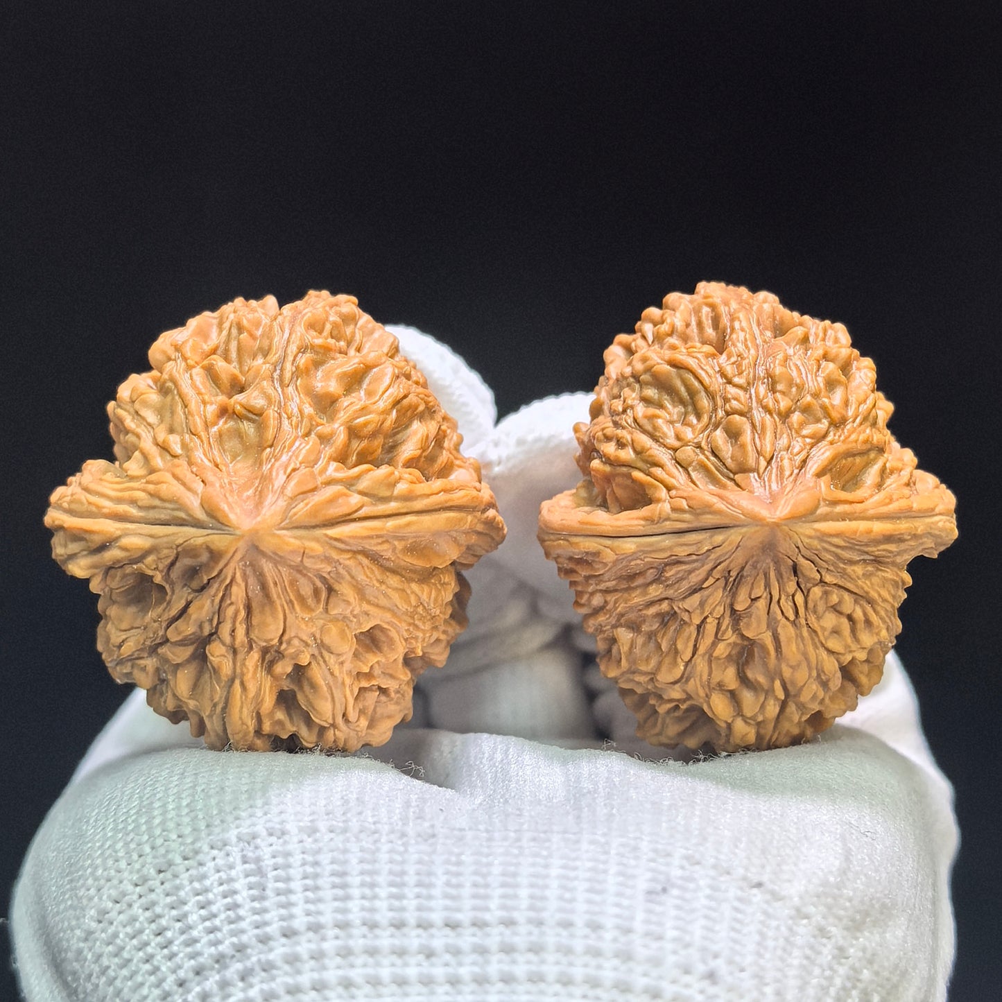 "Dagu Stone" Dagu Shi DGS-1601 Tall-Profile Wenwan Walnuts Pair | 39.0mm x 45.0mm | DGS-1601