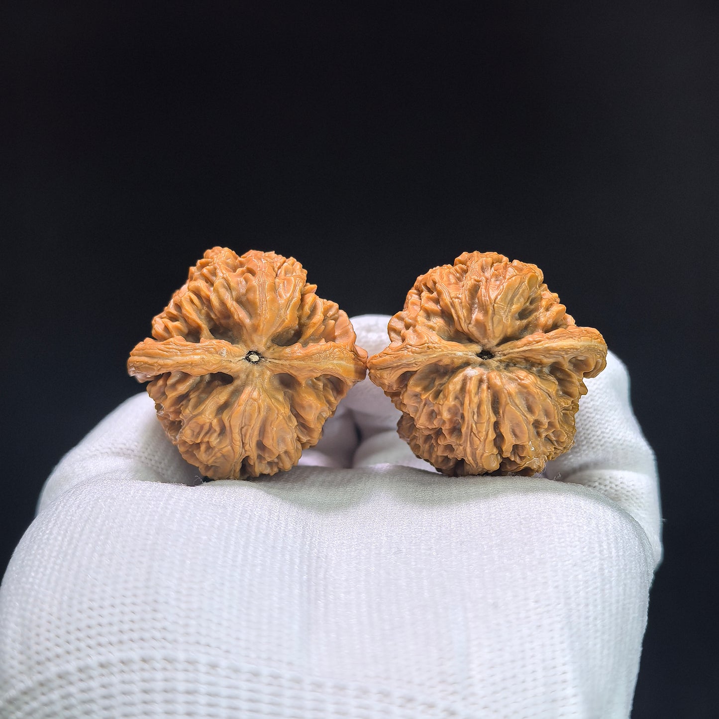 "North China General Shoulder" Huabei Jiangjunbang Wenwan Walnuts Pair | 37.0mm x 37.0mm | HBJJB-1103
