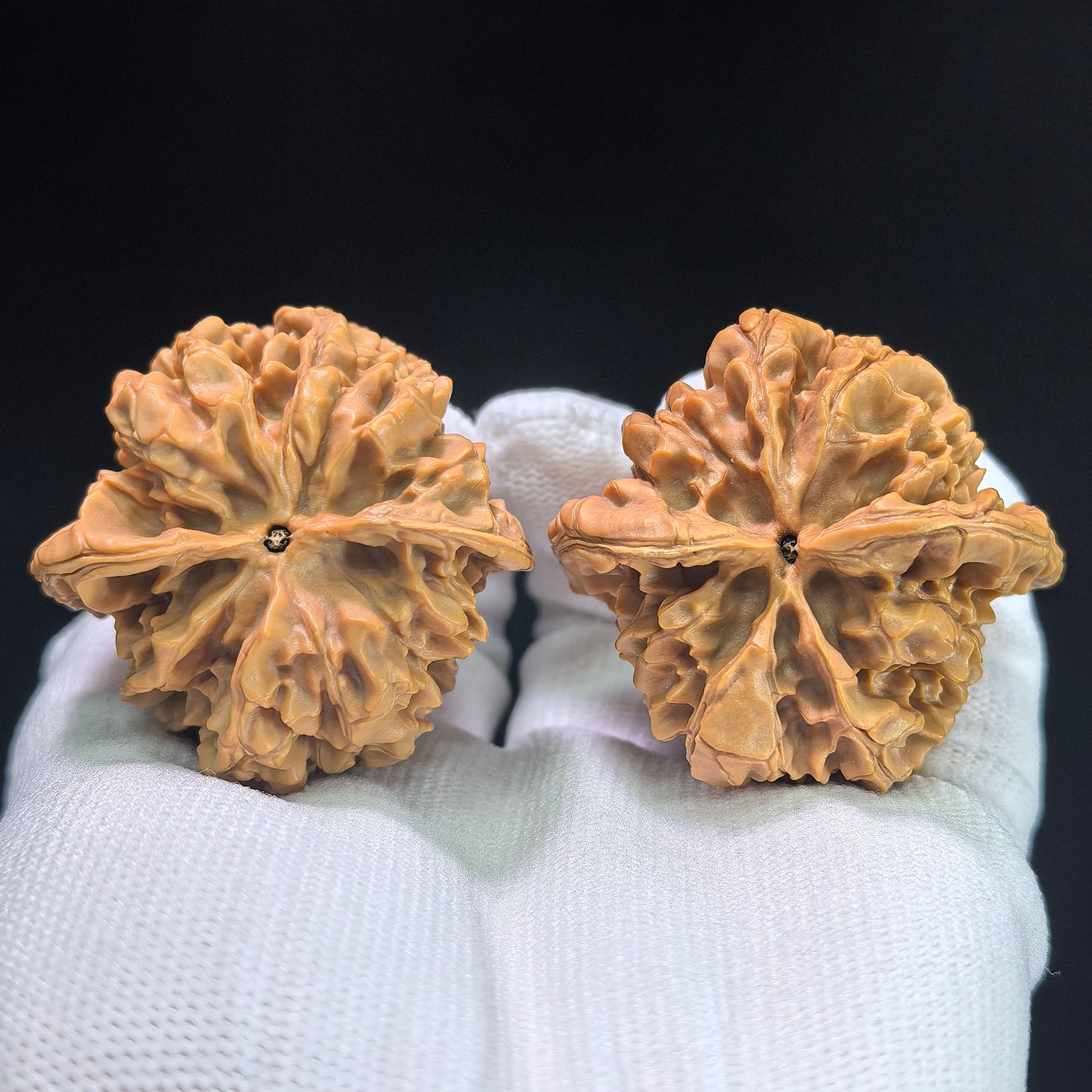 Bai Shou Lion Head (Hundred Longevity) Scholar Walnuts Pair | 45.0mm x 43.0mm | Stock ID: BSSZT-1401