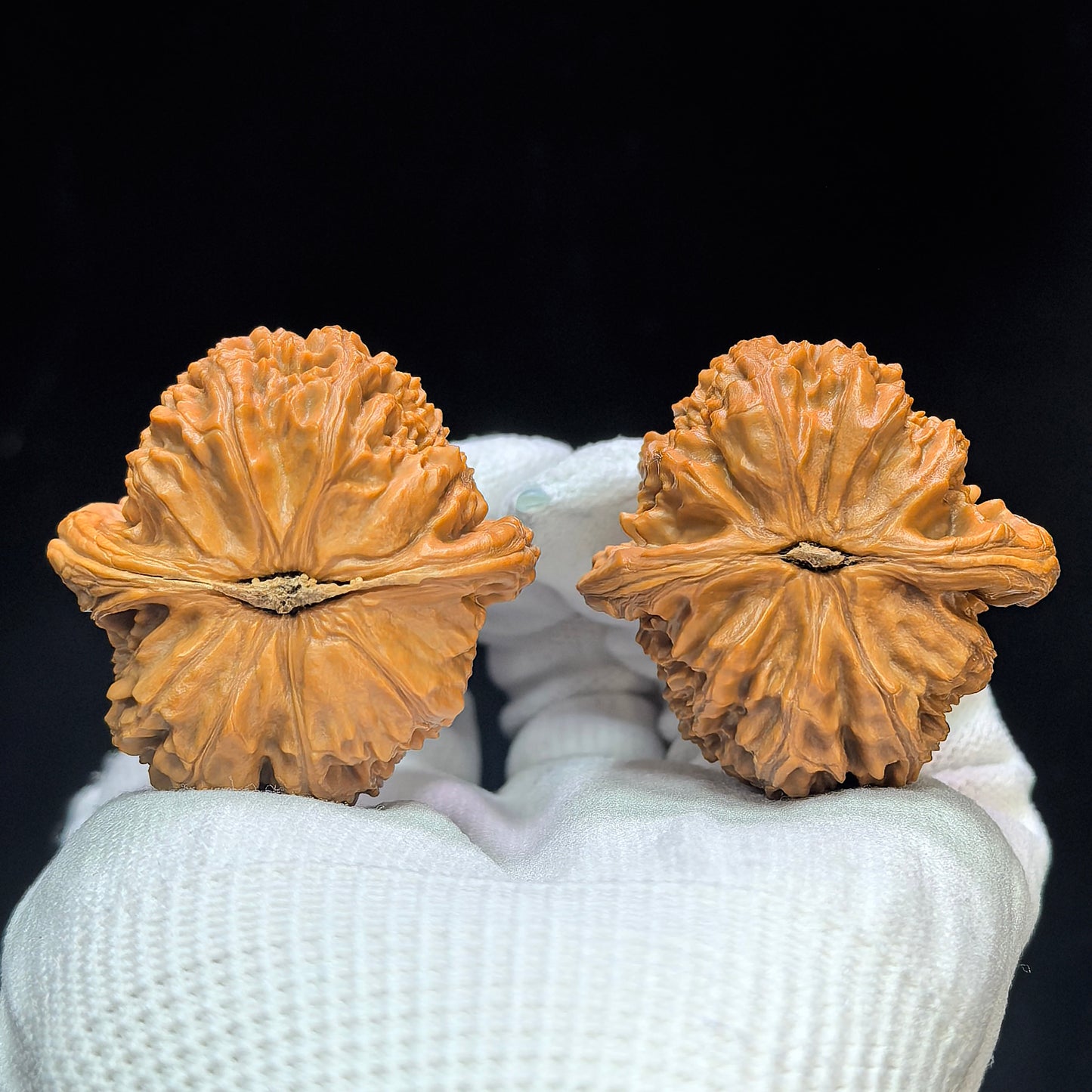 "Spherical White Lionhead" Qiuxing Baishizi QXBSJ-1507C Low-Profile Wenwan Walnuts Pair | 42.0mm x 42.0mm | QXBSJ-1507C