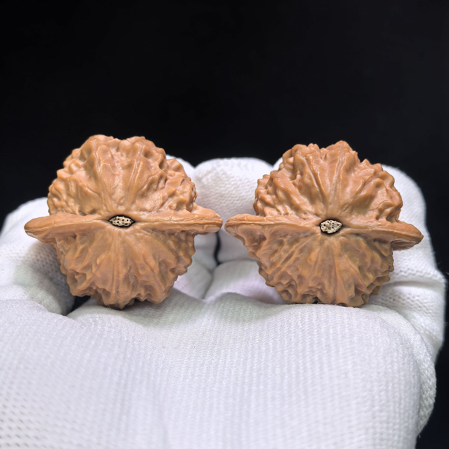 "Porcelain Doll" Ciwawa Wenwan Walnuts Pair | 39.0mm x 36.0mm | CWW-1502C