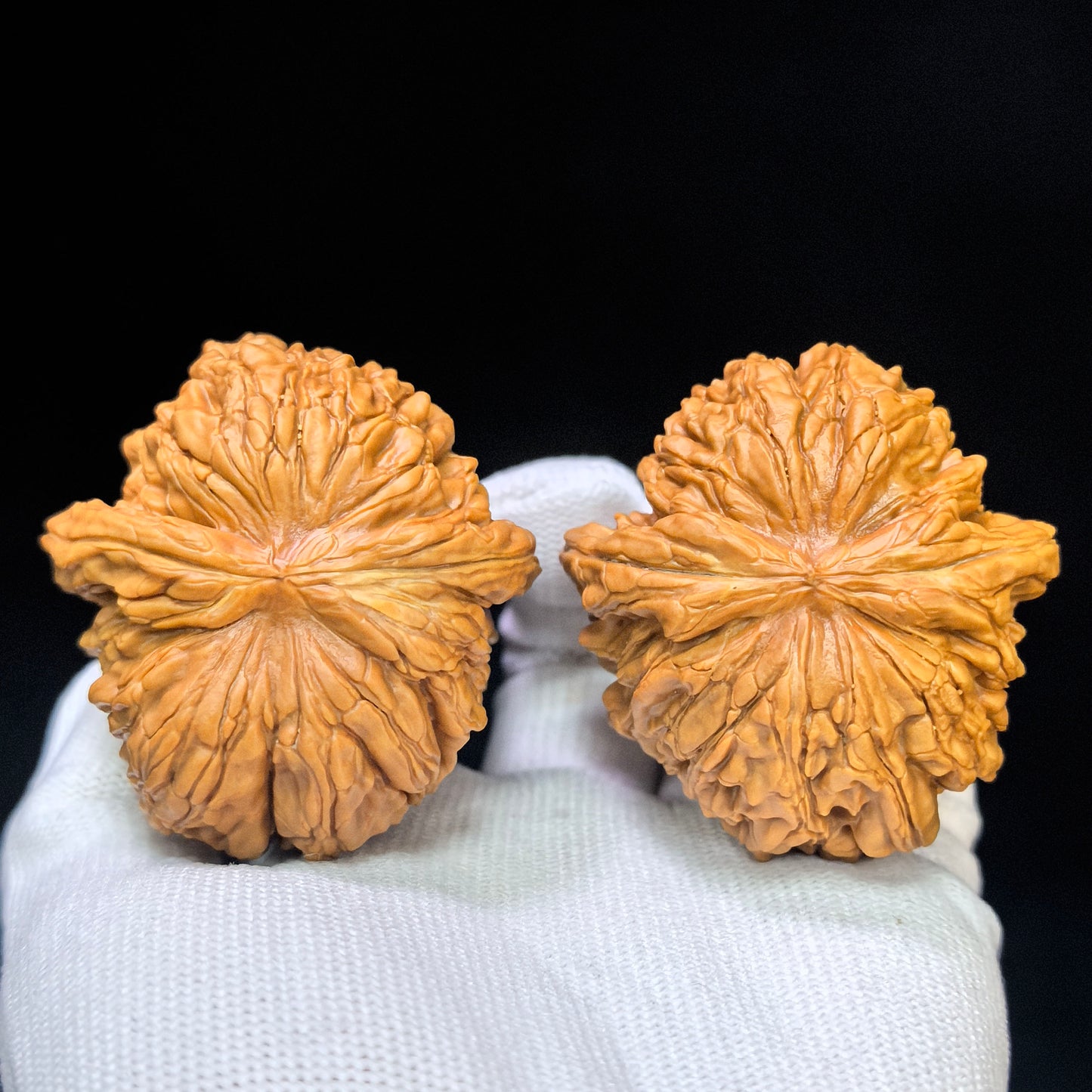 "Hua Kun Dragon" Huakunlong HTL-17F0 Low-Profile Wenwan Walnuts Pair | 48.0mm x 50.0mm | HTL-17F0