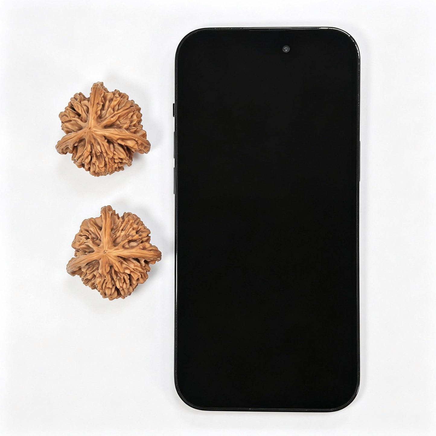 "Three-Ribbed Reaching Heaven Eight" Tongtianba Sanling TTBSN-SY1H3 Rare Wenwan Walnuts Pair | 35.0mm x 36.0mm | TTBSN-SY1H3