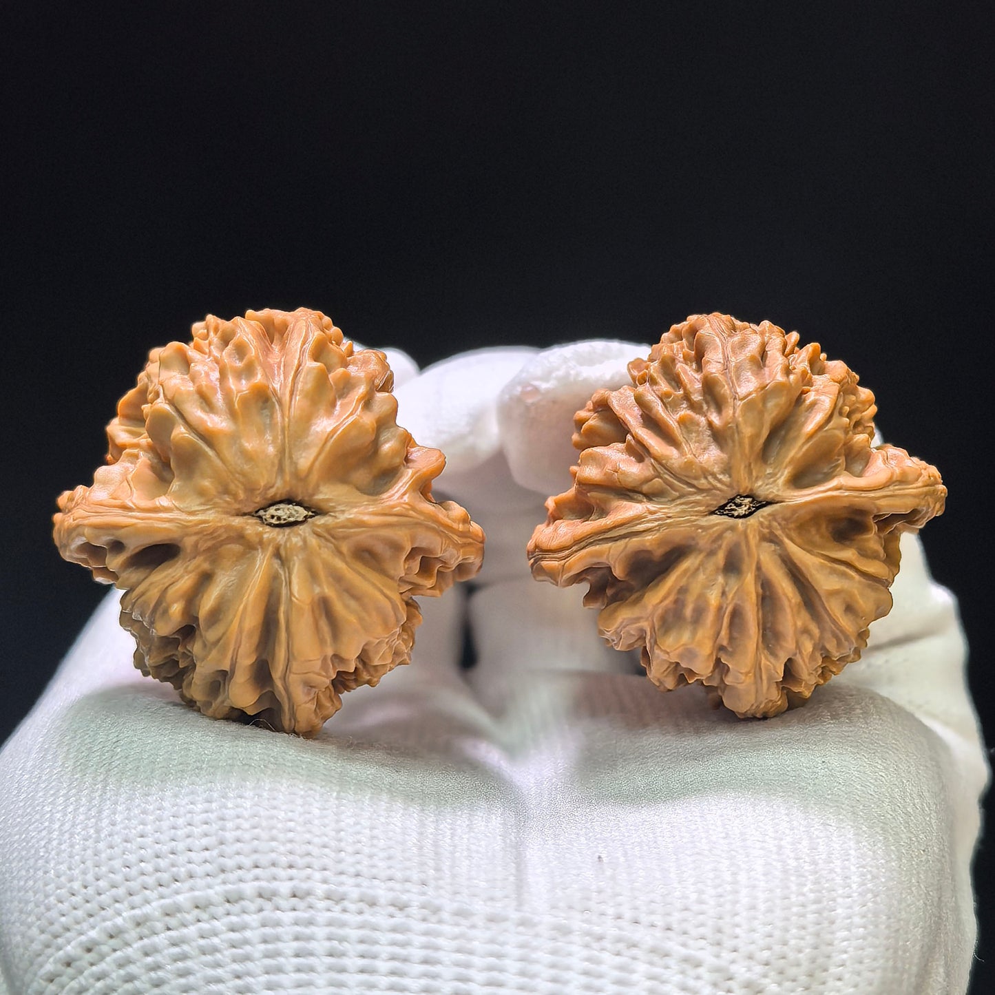 "Beijing Chicken Heart" Beijing Jixin Wenwan Walnuts Pair | 36.0mm x 36.0mm | BJJX-1103