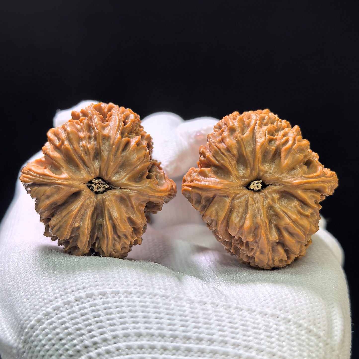 "Nanjiangshi Lionhead" Nanjiangshi NJS-1109 Low-Profile Wenwan Walnuts Pair | 36.0mm x 38.0mm | NJS-1109
