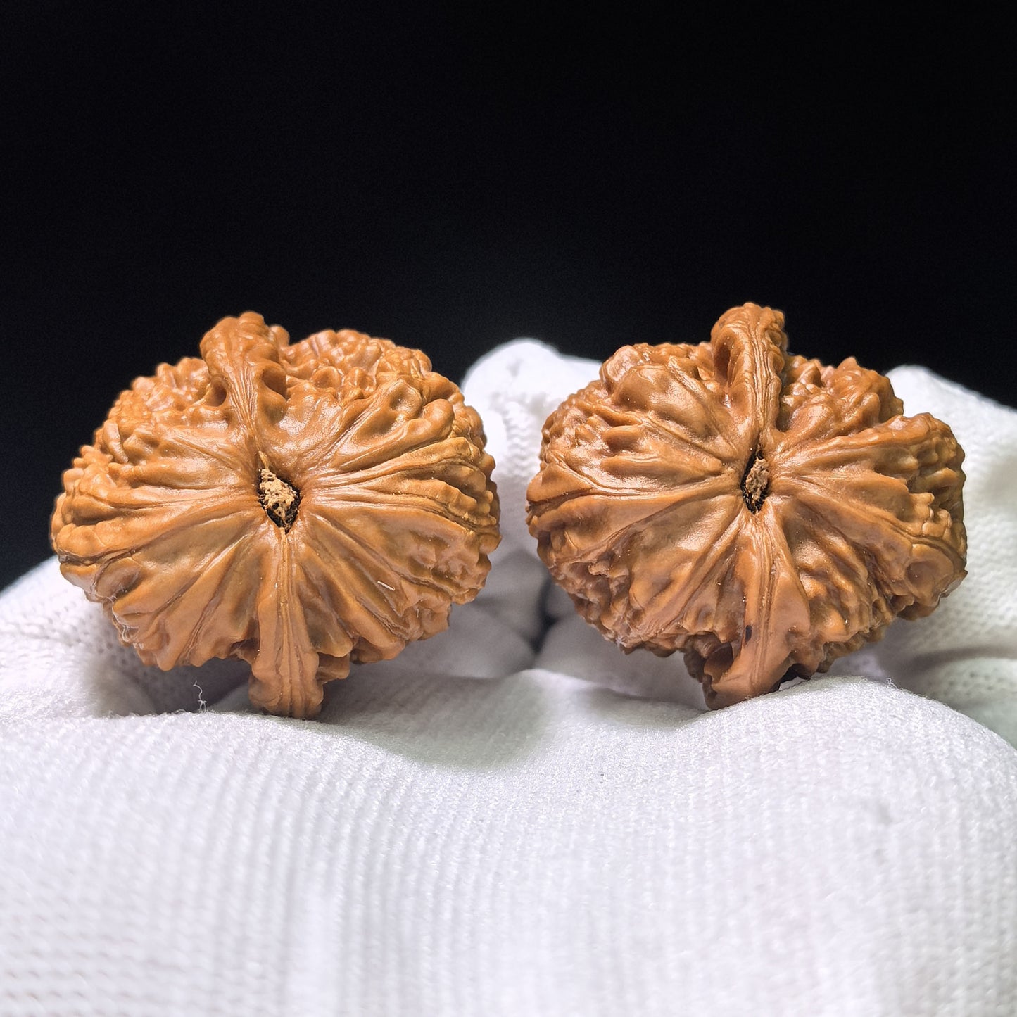 The Spectacular "White Lion Head Half-Wall" Baishizi Banbi Pocket Masterpiece | 34.0mm x 35.0mm | BSJBB-402E