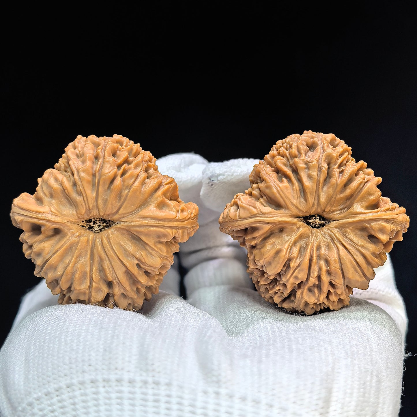 "Spherical Nanjiangshi Lionhead" Qiuxing Nanjiangshi NJS-1502C Low-Profile Wenwan Walnuts Pair | 41.0mm x 41.0mm | NJS-1502C