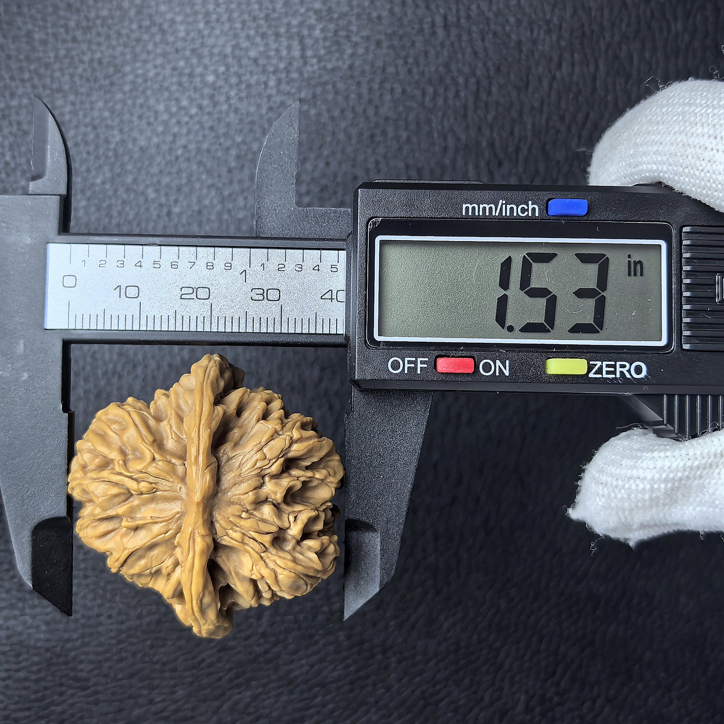 The "Hundred Longevity Lion Head" (Bai Shou Shi Zi Tou) Pair | 41.0mm x 38.0mm | BSSZT-03