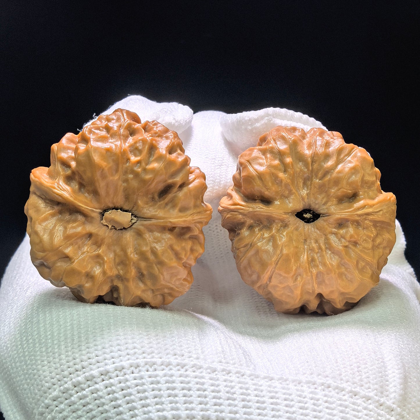 "Jade Toad Crystal Frog" Yuchan Shuijingwa W-1103 Hand-Spin Pocket Wenwan Walnuts Pair | 35.0mm x 37.0mm | W-1103