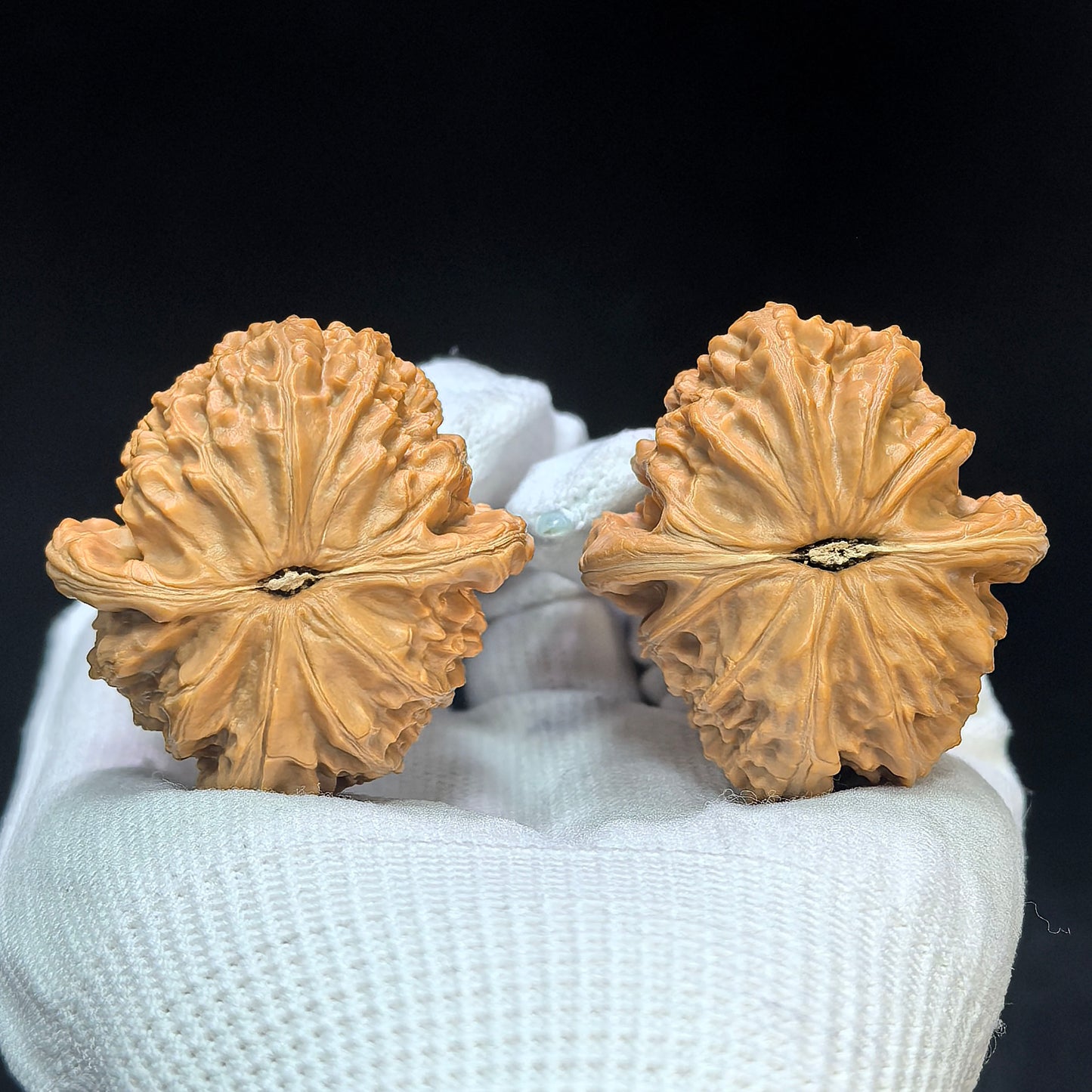 "Spherical White Lion" Qiu Xing Baishizi QXBSJ-1503C Low-Profile Wenwan Walnuts Pair | 41.0mm x 44.0mm | QXBSJ-1503C