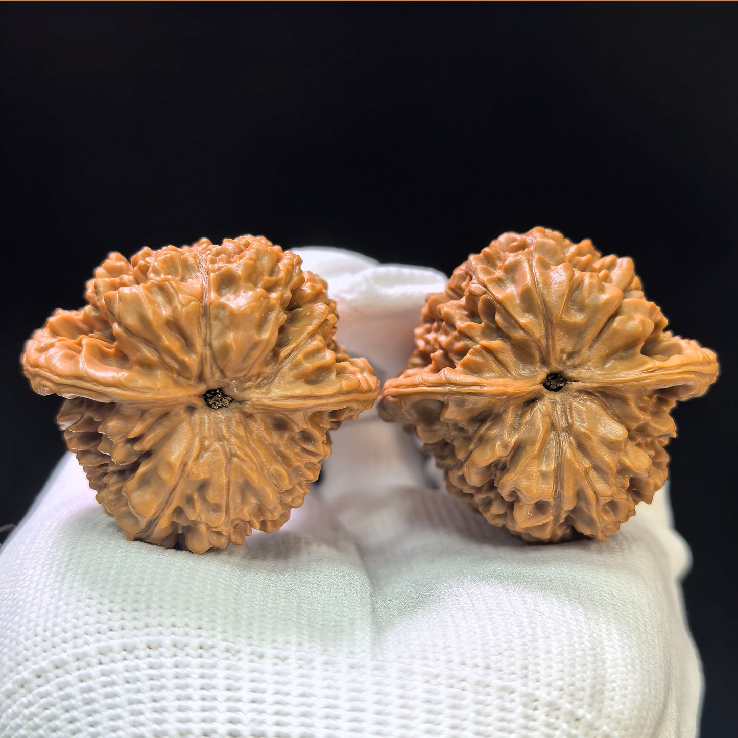 "Official Hat" Guanmao GM-1111 Classic Wenwan Walnuts Pair | 41.0mm x 39.0mm | GM-1111