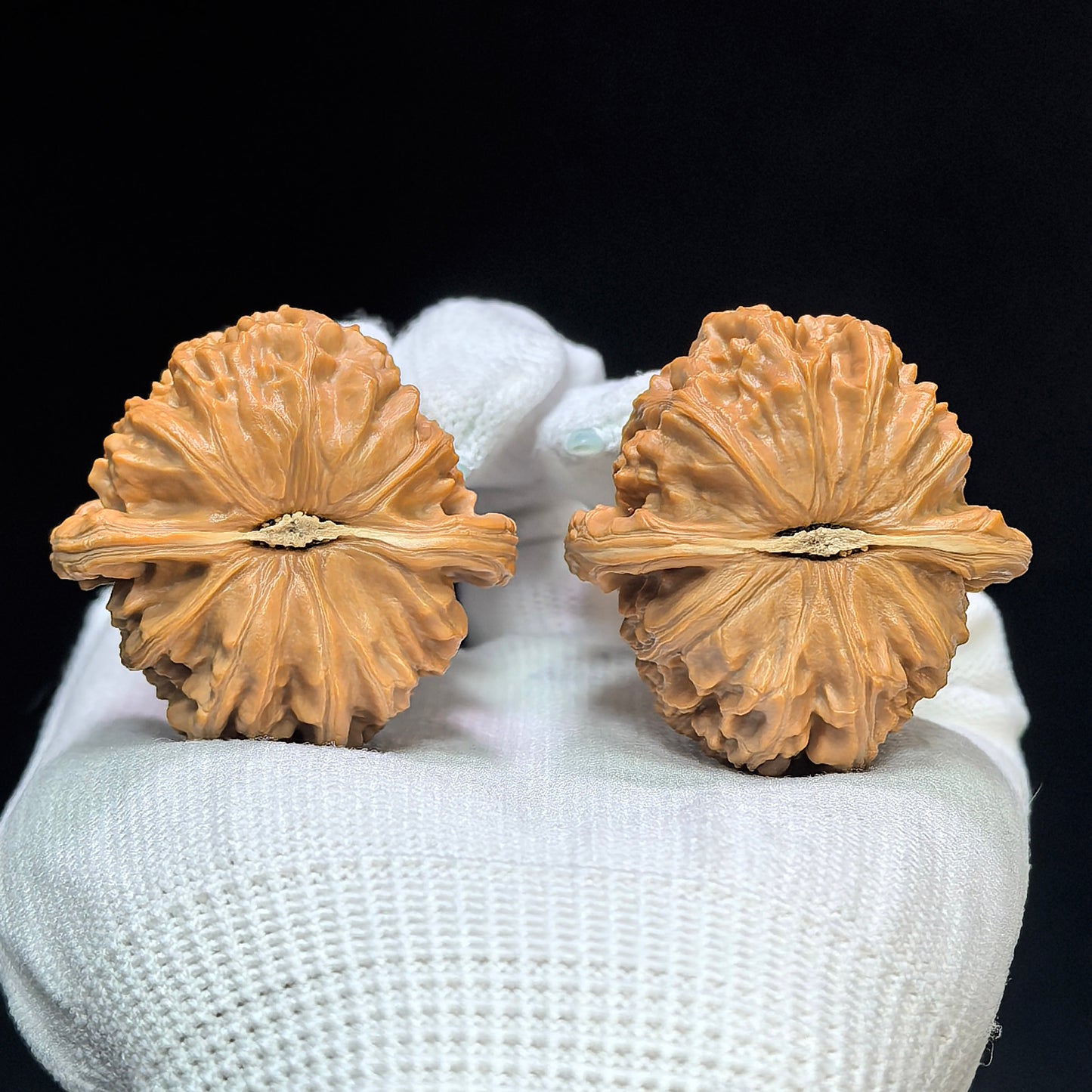 "Spherical White Lionhead" Qiuxing Baishizi QXBSJ-1504C Low-Profile Wenwan Walnuts Pair | 39.0mm x 40.0mm | QXBSJ-1504C