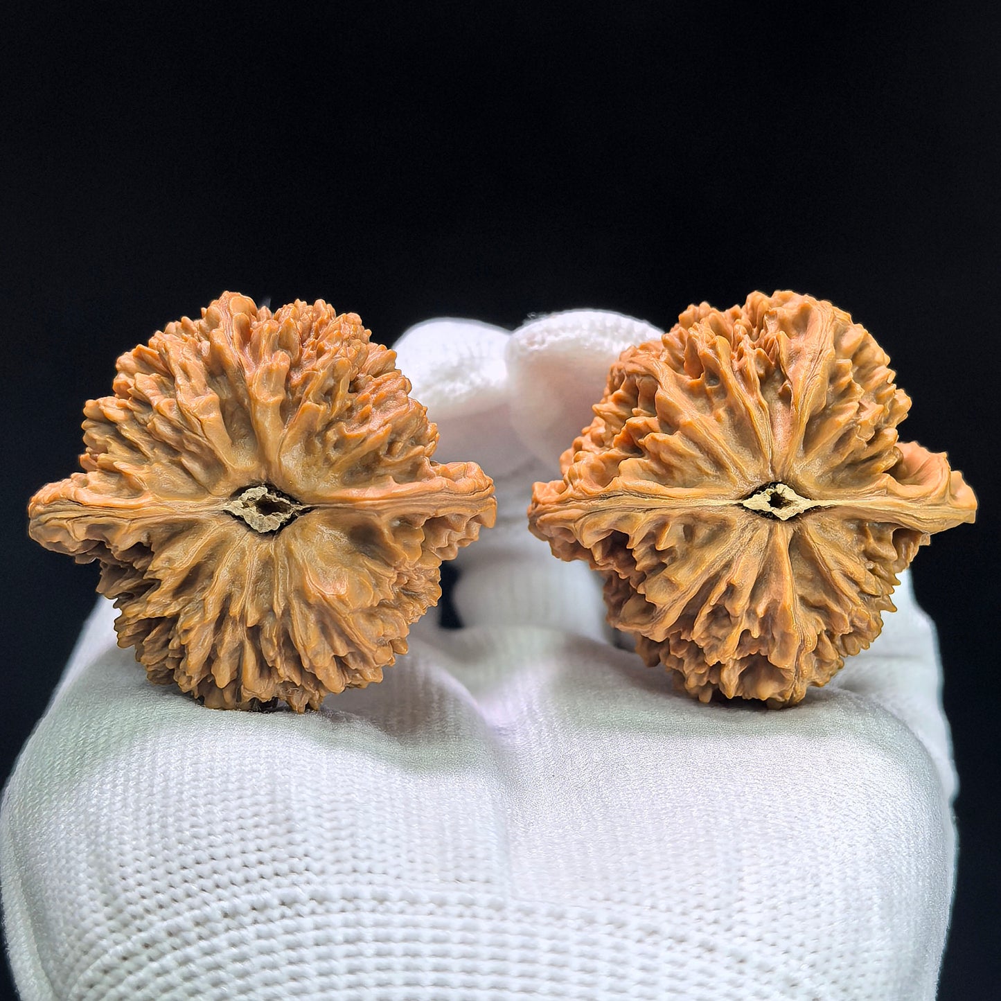 "Starry Sky" Mantianxing Wenwan Walnuts (Pair) | 42.0mm x 40.0mm | Stock ID: MTX-1402