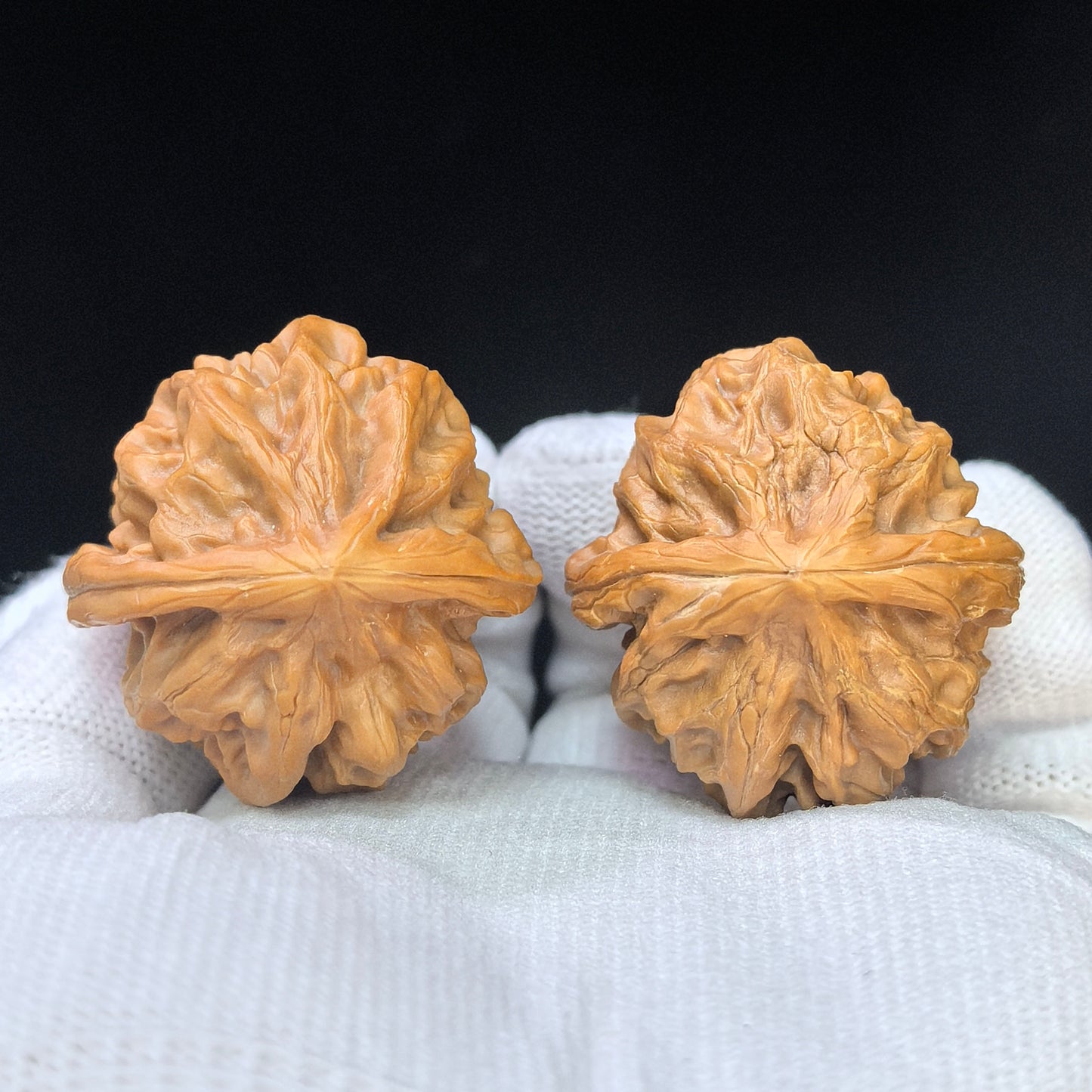 "Cao Great Dragon" Cao Dalong CDL-17D5 Low-Profile Wenwan Walnuts Pair | 35.0mm x 36.0mm | CDL-17D5