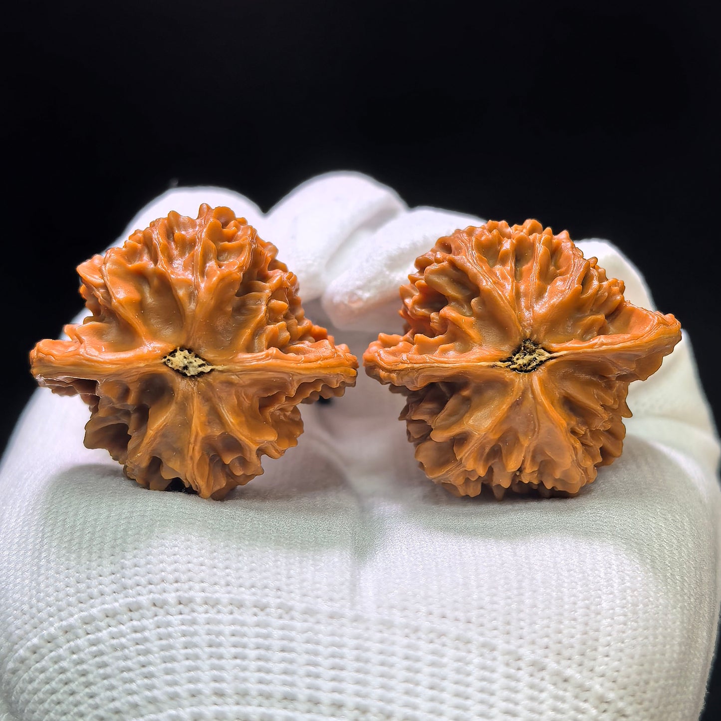 "Panshan" Panshan Wenwan Walnuts Pair | 36.0mm x 33.0mm | PS-1401