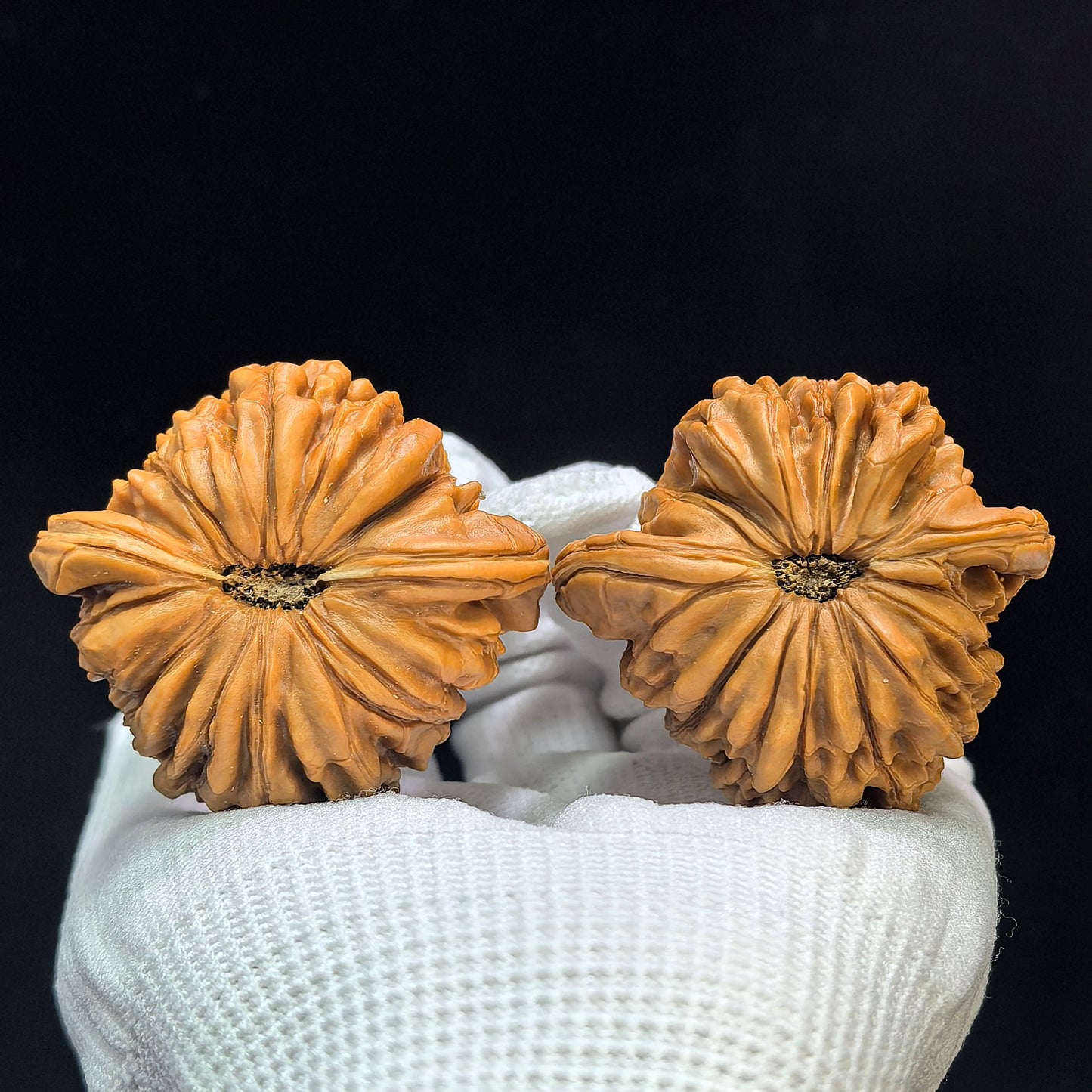 "Butterfly Huakun Dragon" Hudie Huakunlong Low-Profile Wenwan Walnuts Pair | 48.0mm x 46.0mm | HKL-1506C