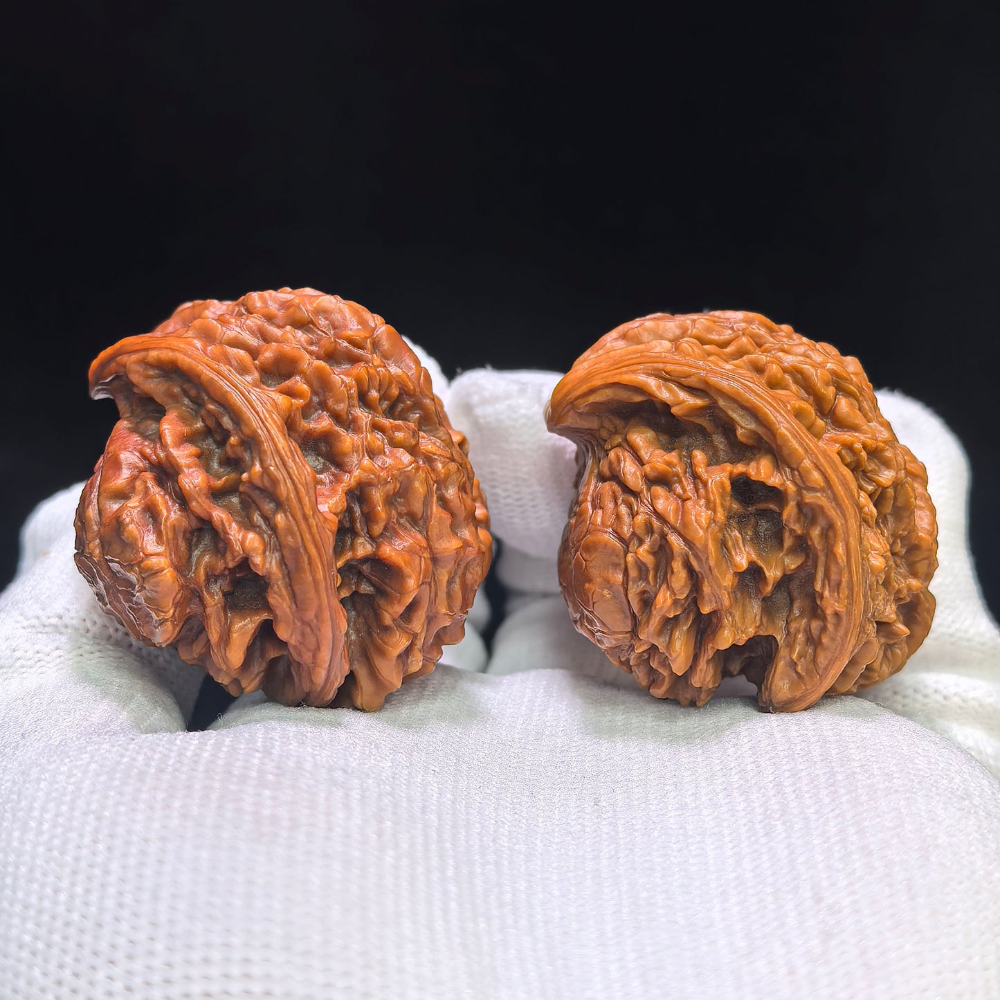 "The Serpent King & Queen" (Shewang Shehou) Scholar Walnuts Pair | 41.0mm x 35.0mm | Legendary Heritage Matching | Exclusive Collector Grade Masterpiece | Stock ID: SWSH-C01E