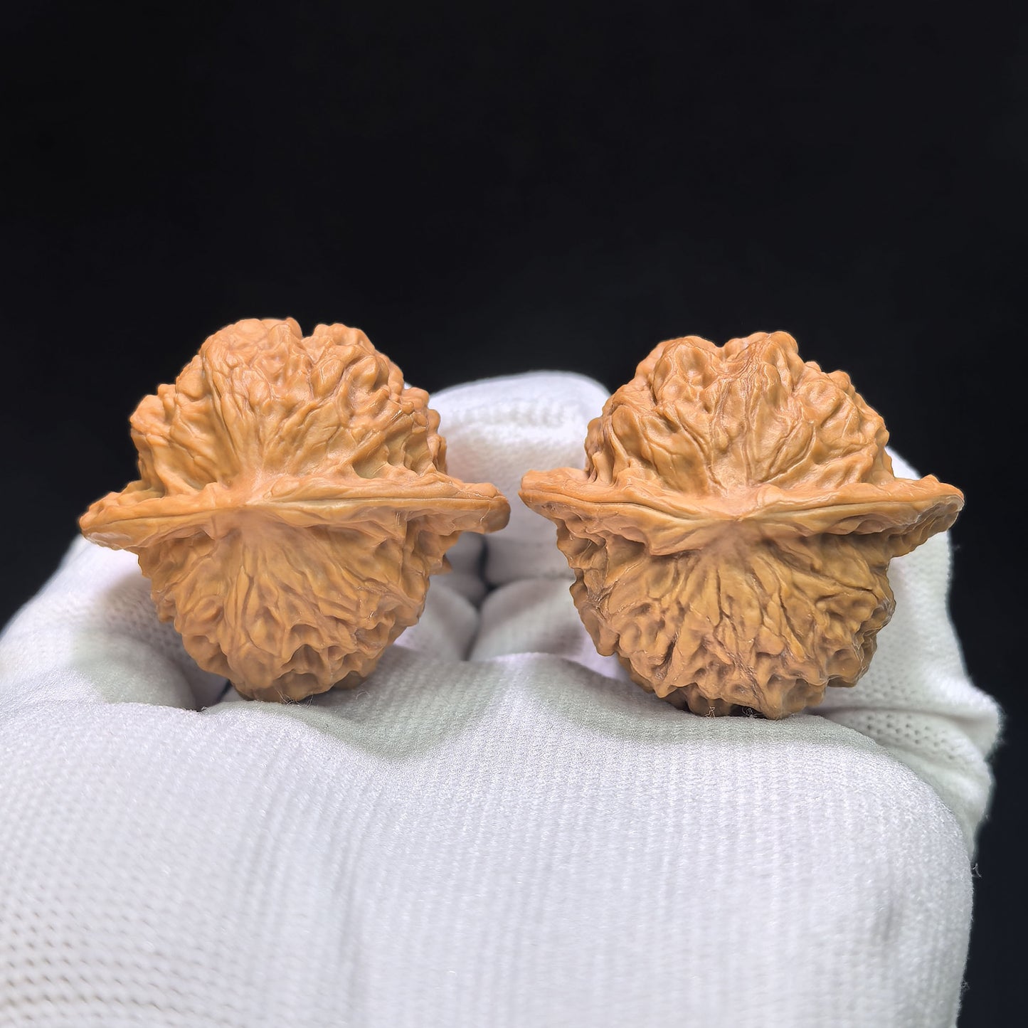 "Porcelain Doll" Ciwawa Wenwan Walnuts (Pair) | 41.0mm x 37.0mm | Stock ID: CWW-1505C